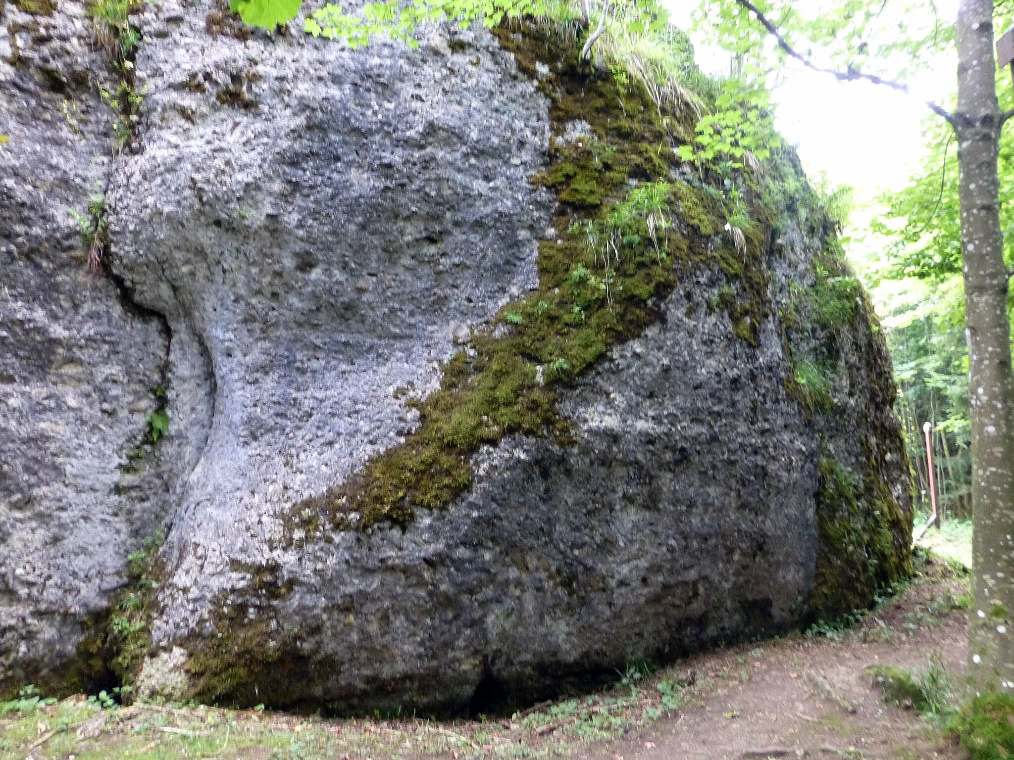 Photo showing: Geotop Dengelstein, Findling im Kempter Wald