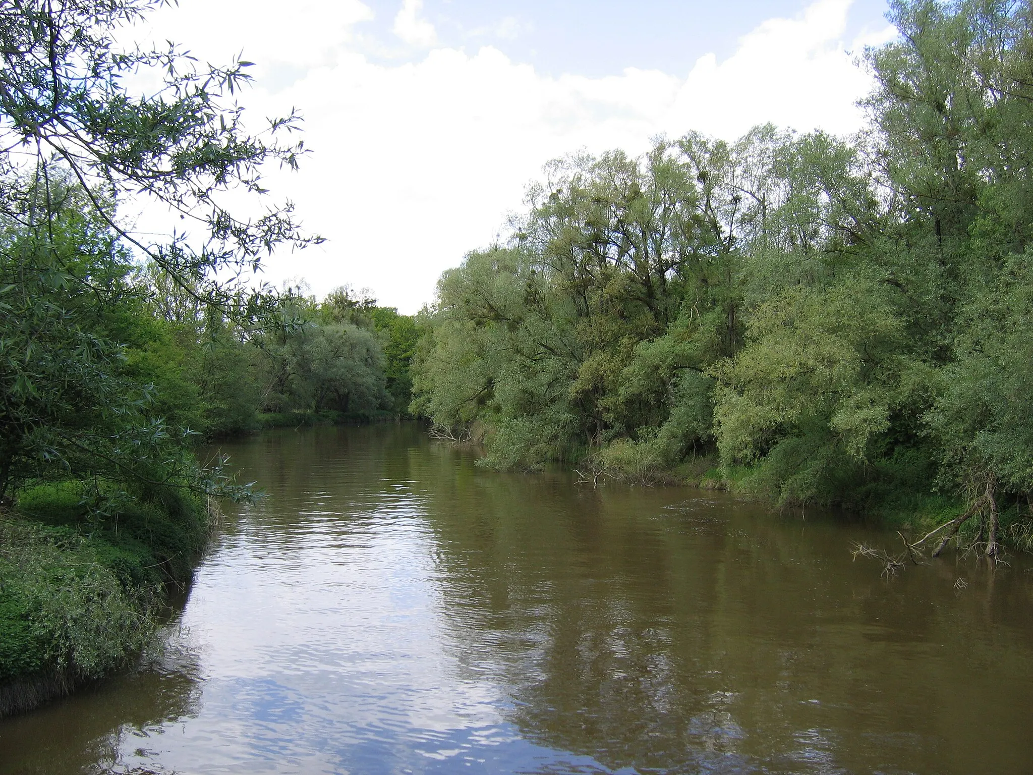 Photo showing: Deutschland - Baden-Württemberg - Bodenseekreis - Eriskirch: die Schussen im Eriskircher Ried, kurz vor der Mündung in den Bodensee