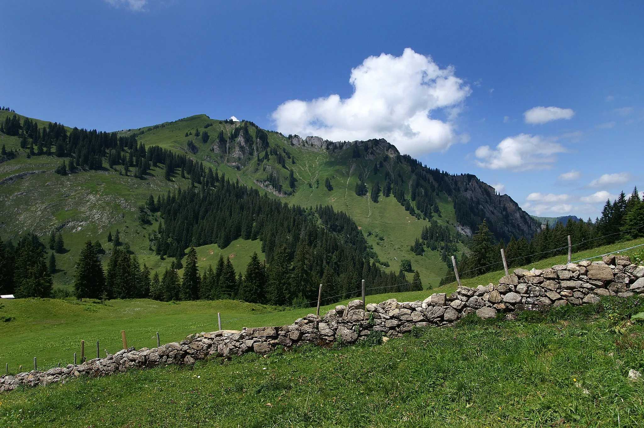 Photo showing: Die beliebte Mountainbike- Route von Au (Vorarlberg) nach Schönenbach (Bizau) führt über die Alpen Sattelegg und Ostergunten. Im Bild ein selten gesehenes Trockenmauerwerk, das der Weideeingrenzung dient. Blick auf den Hirschberg (Bizau).