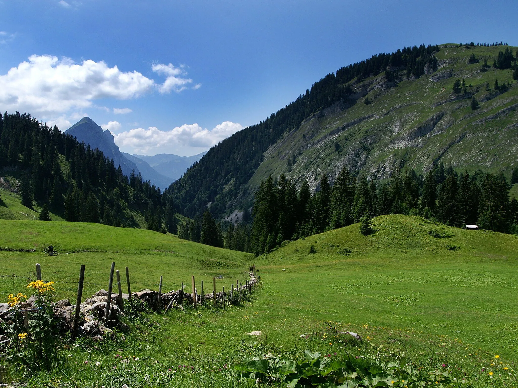 Photo showing: Die beliebte Mountainbike- Route von Au (Vorarlberg) nach Schönenbach (Bizau) führt über die Alpen Sattelegg und Ostergunten. Im Bild ein selten gesehenes Trockenmauerwerk, das der Weideeingrenzung dient. Blick auf den Untere Hirschberg (Bizau) und die Kanisfluh.