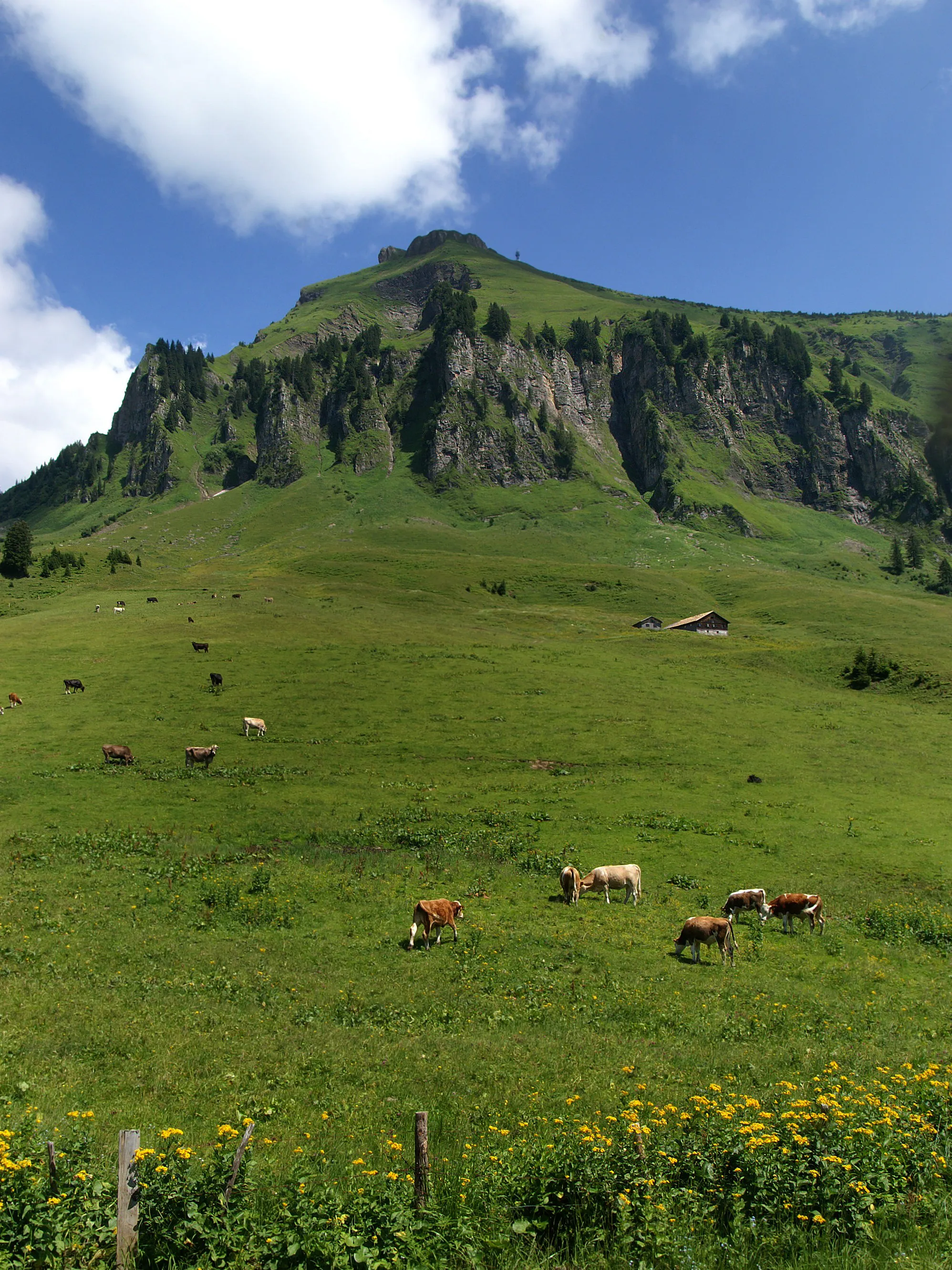 Photo showing: Die beliebte Mountainbike- Route von Au (Vorarlberg) nach Schönenbach (Bizau) führt über die Alpen Sattelegg und Ostergunten. Im Bild der Diedamskopf mit der Oberdiedamsalpe.