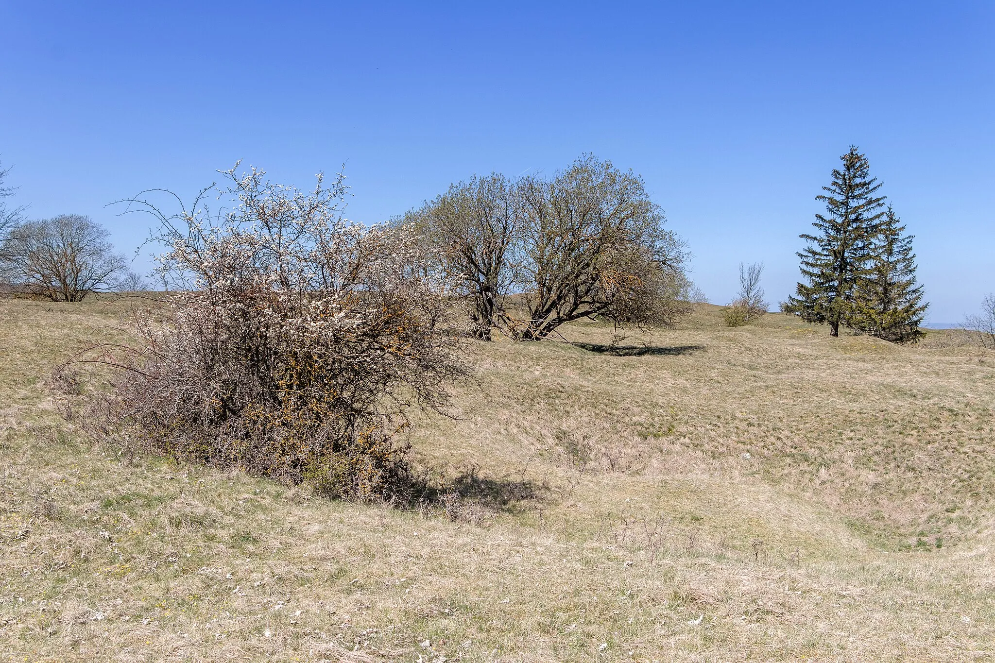 Photo showing: Gelber Berg, Dittenheim, Naturpark Altmühltal, Gipfel