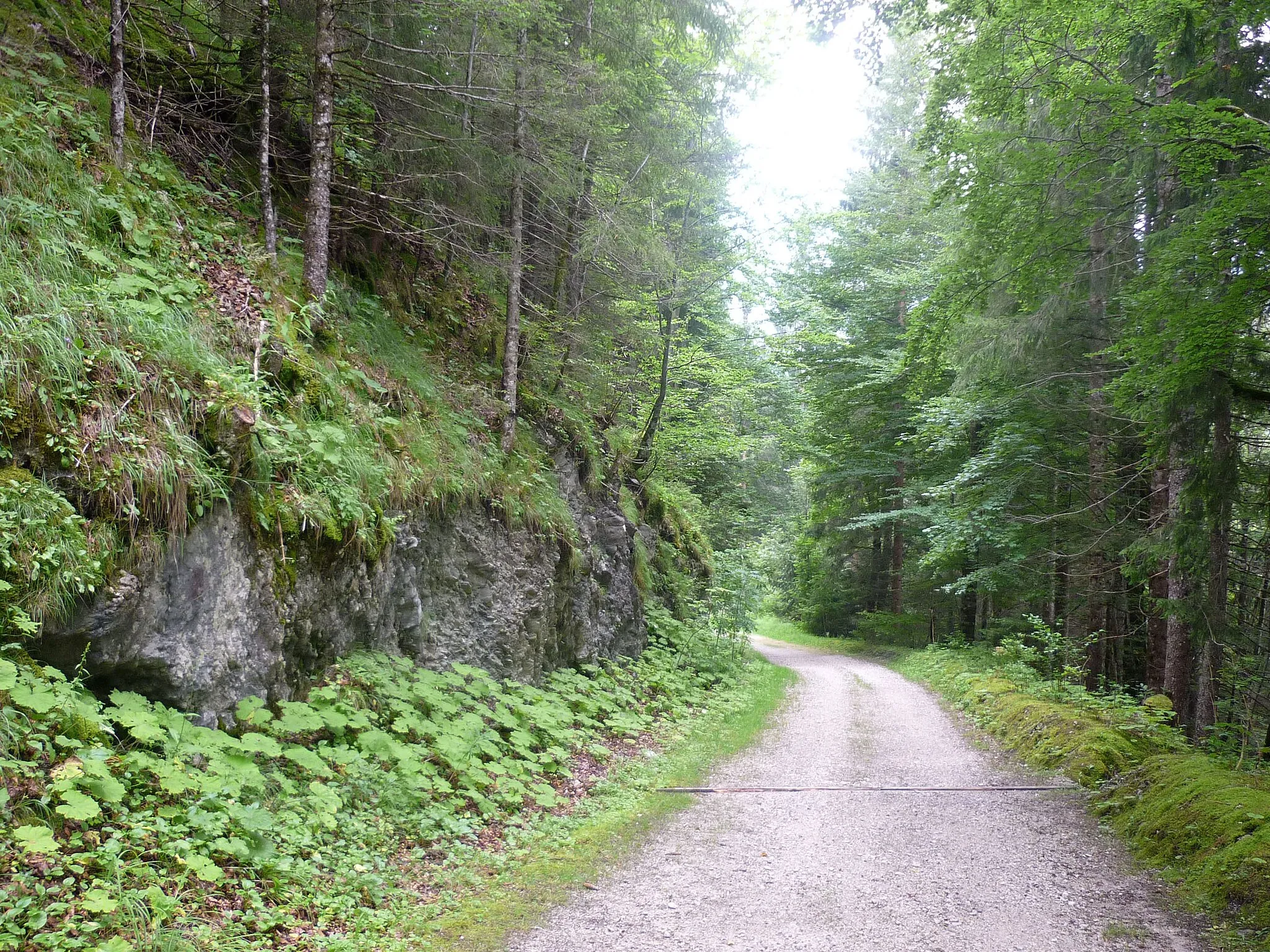 Photo showing: Alte Gachtpass-Straße, angelegt 1550 zum Salz- und Weintransport zwischen Allgäu und Tirol, wiederhergestellt als Wander- und Radfahrweg 1996