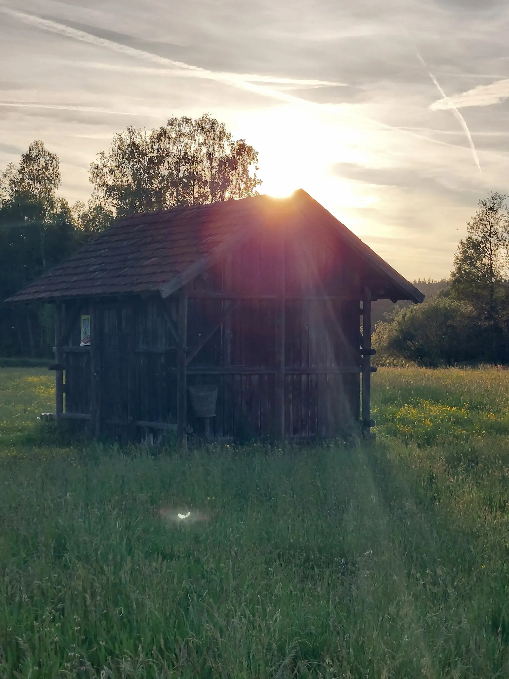 Photo showing: Abendspaziergang auf dem Torferlebnispfad Bremental.