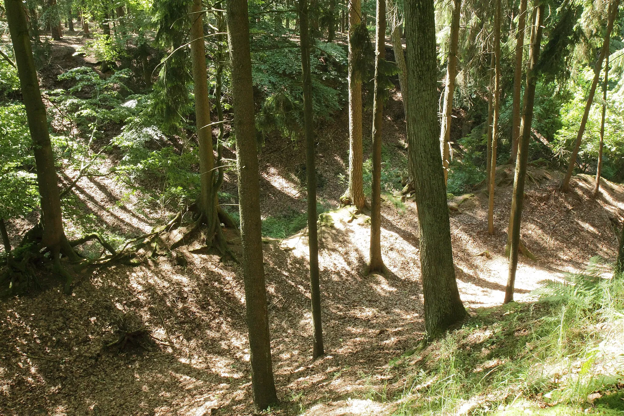 Photo showing: Burgstall Flüglingen - Ringgraben und rezenter Steinbruchgraben