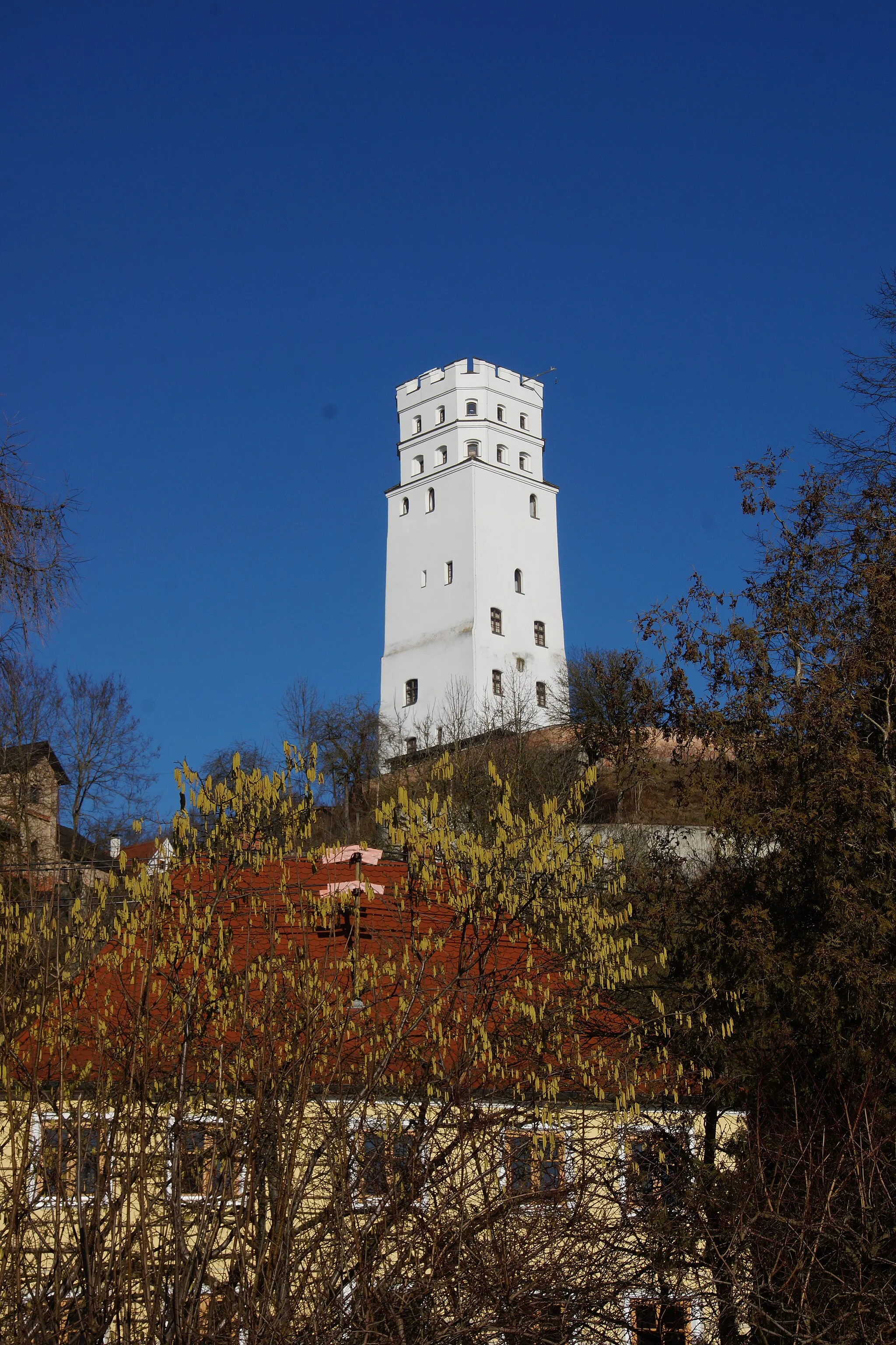 Photo showing: Burg Markt in Schwaben