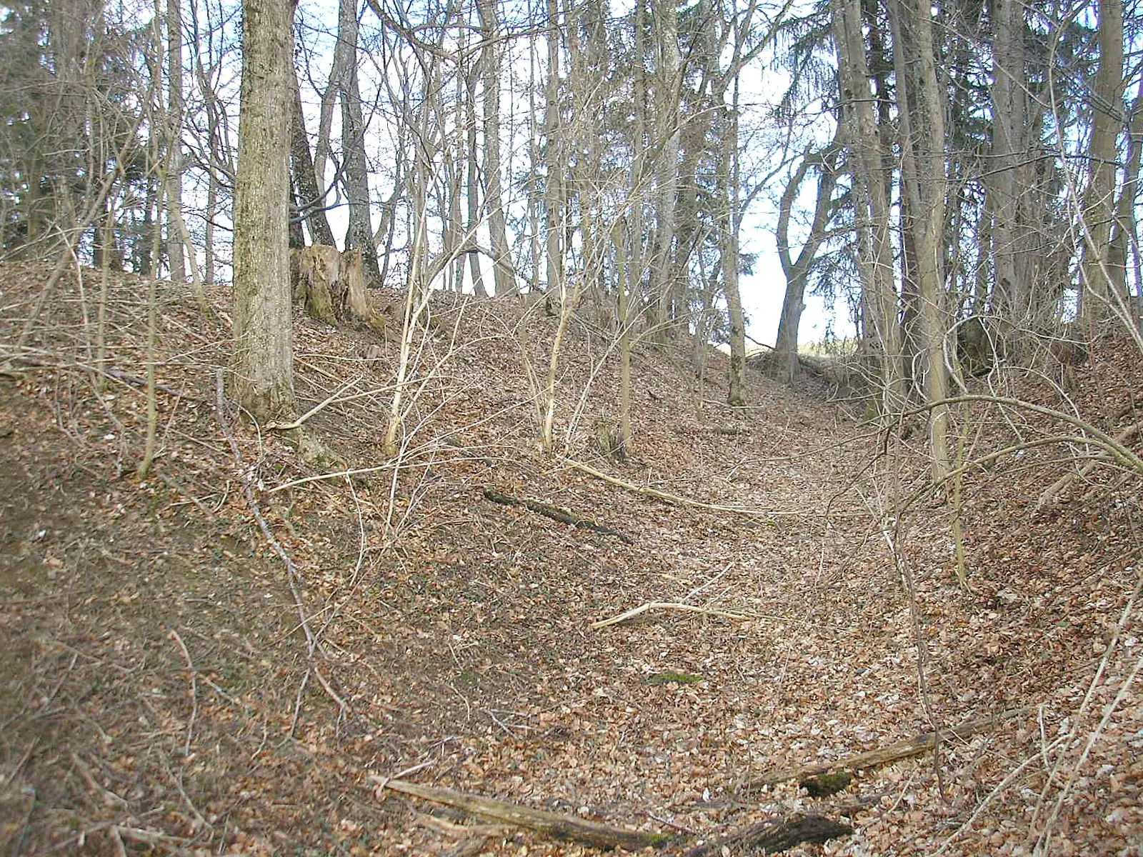 Photo showing: Helmishofen castle near Markt Kaltental (Landkreis Ostallgäu, Bavaria, Germany). The southern moat of the bailey, looking east