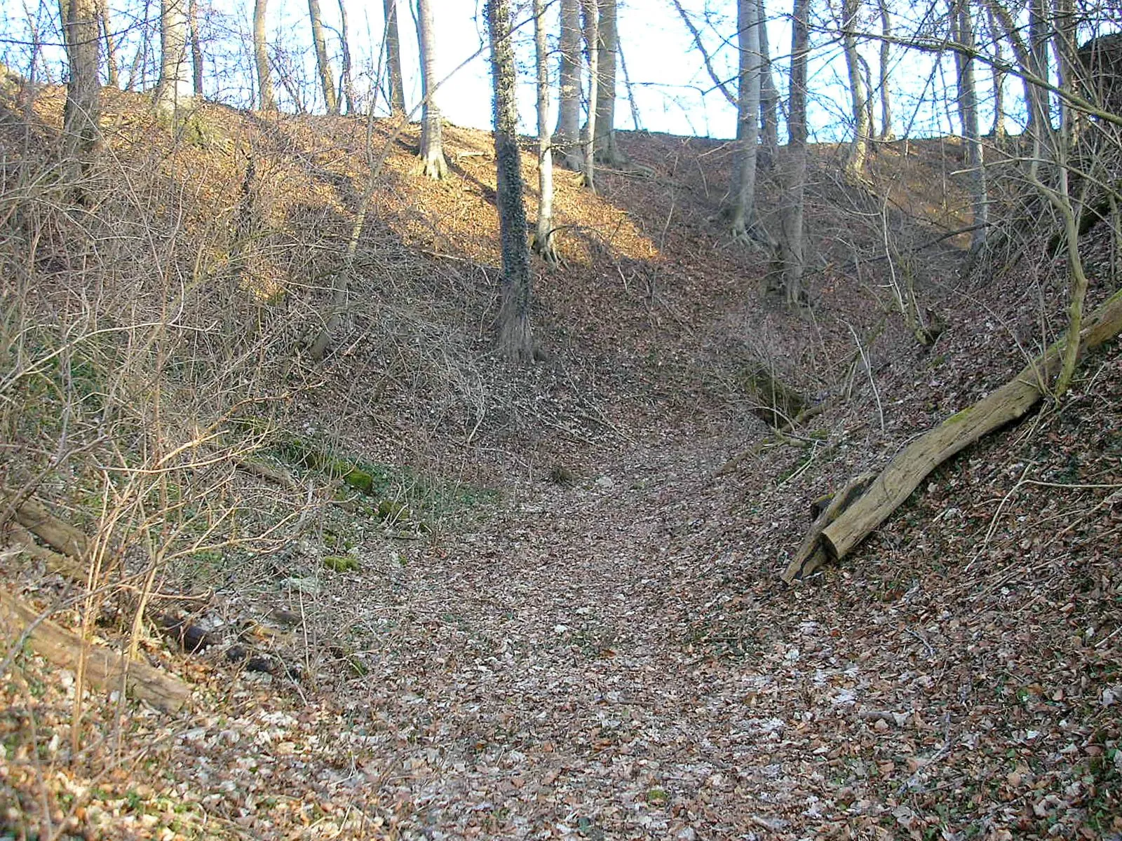 Photo showing: Helmishofen castle near Markt Kaltental (Landkreis Ostallgäu, Bavaria, Germany). The northern moat of the central castle, looking east