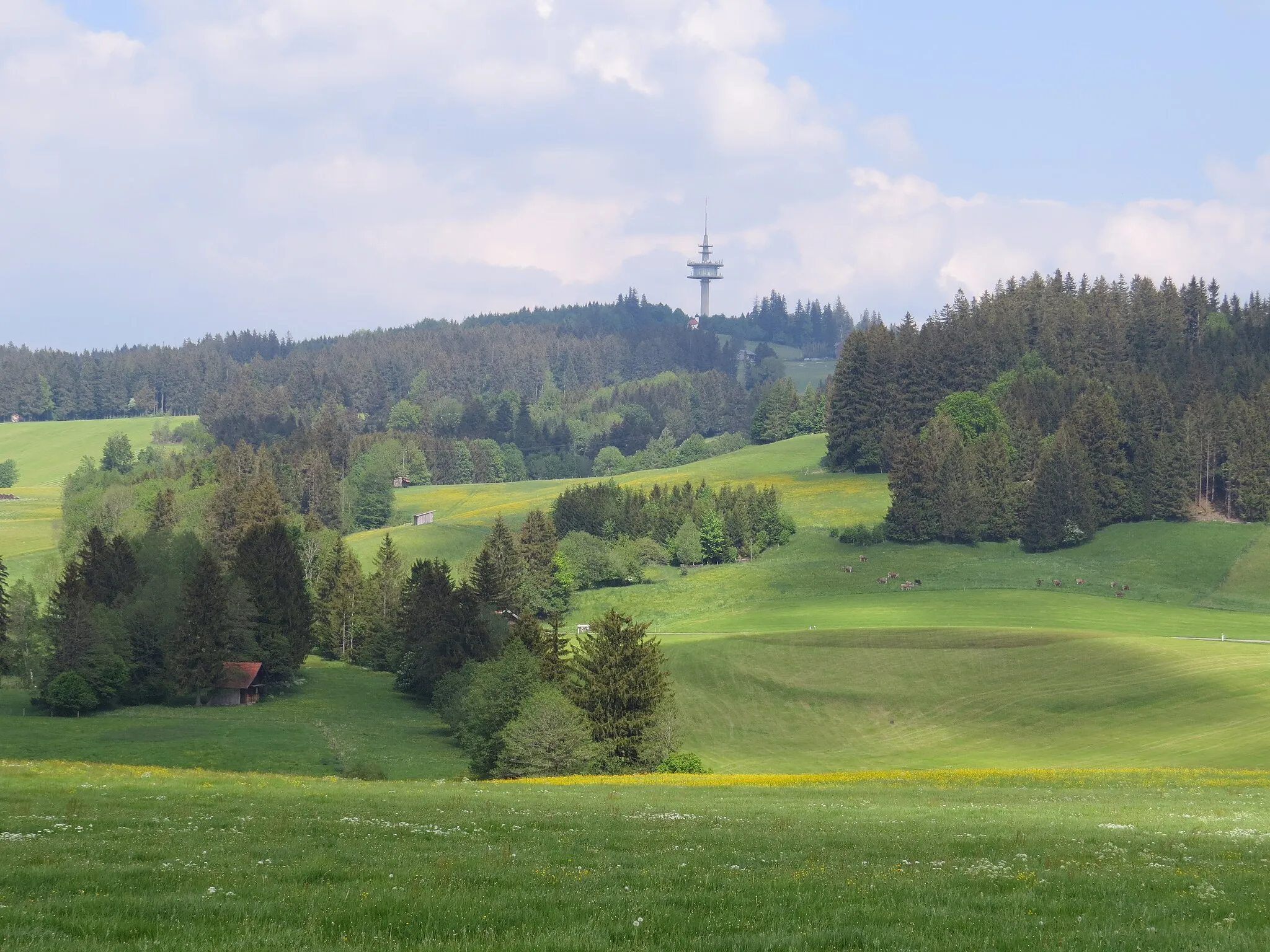 Photo showing: Weichberg (967 m NHN) von Südwesten