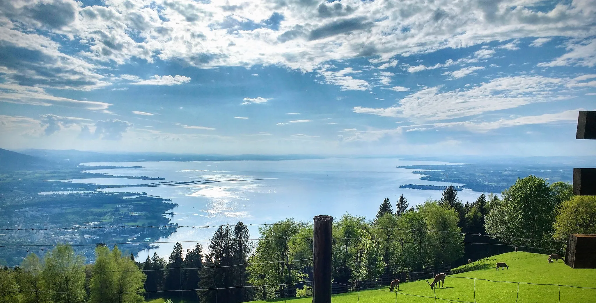 Photo showing: Panorama: Blick vom Pfänder auf den Bodensee