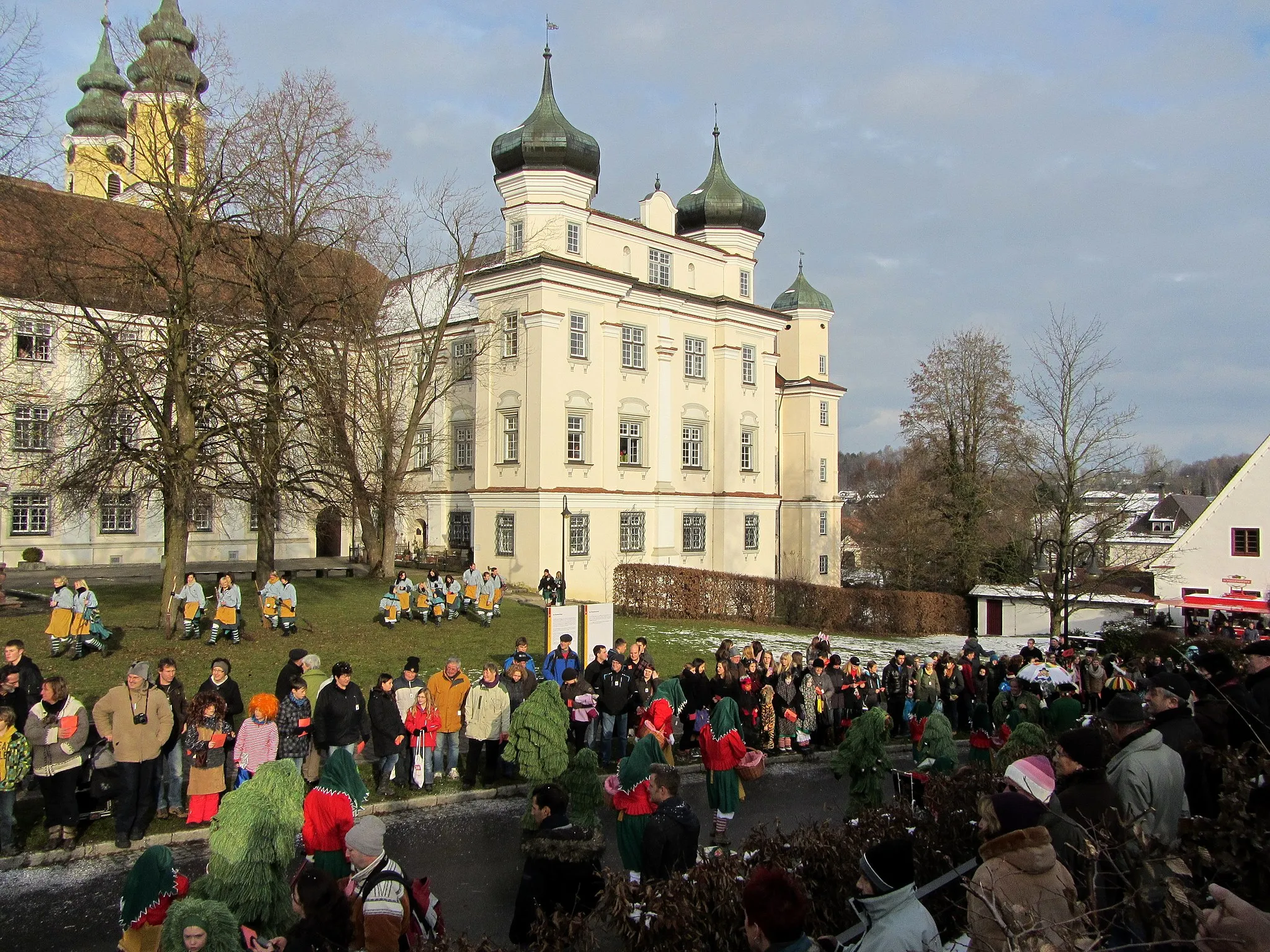 Photo showing: Narrenumzug Rot an derRot (2013)