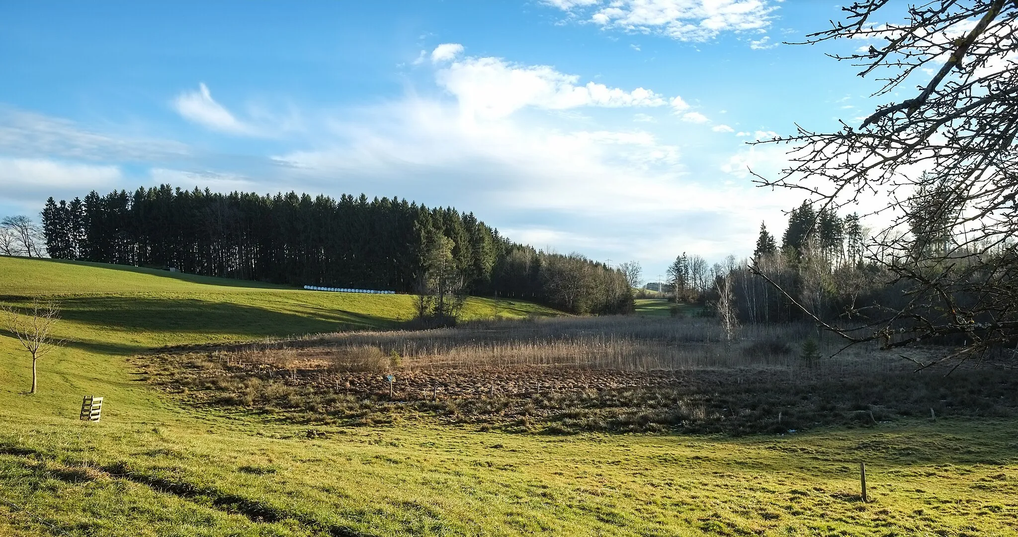 Photo showing: Dead ice hole  'Teufelssee, a nature reserve and mire near Primisweiler, in Wangen-Schomburg, district  Ravensburg, Baden-Württemberg, Germany