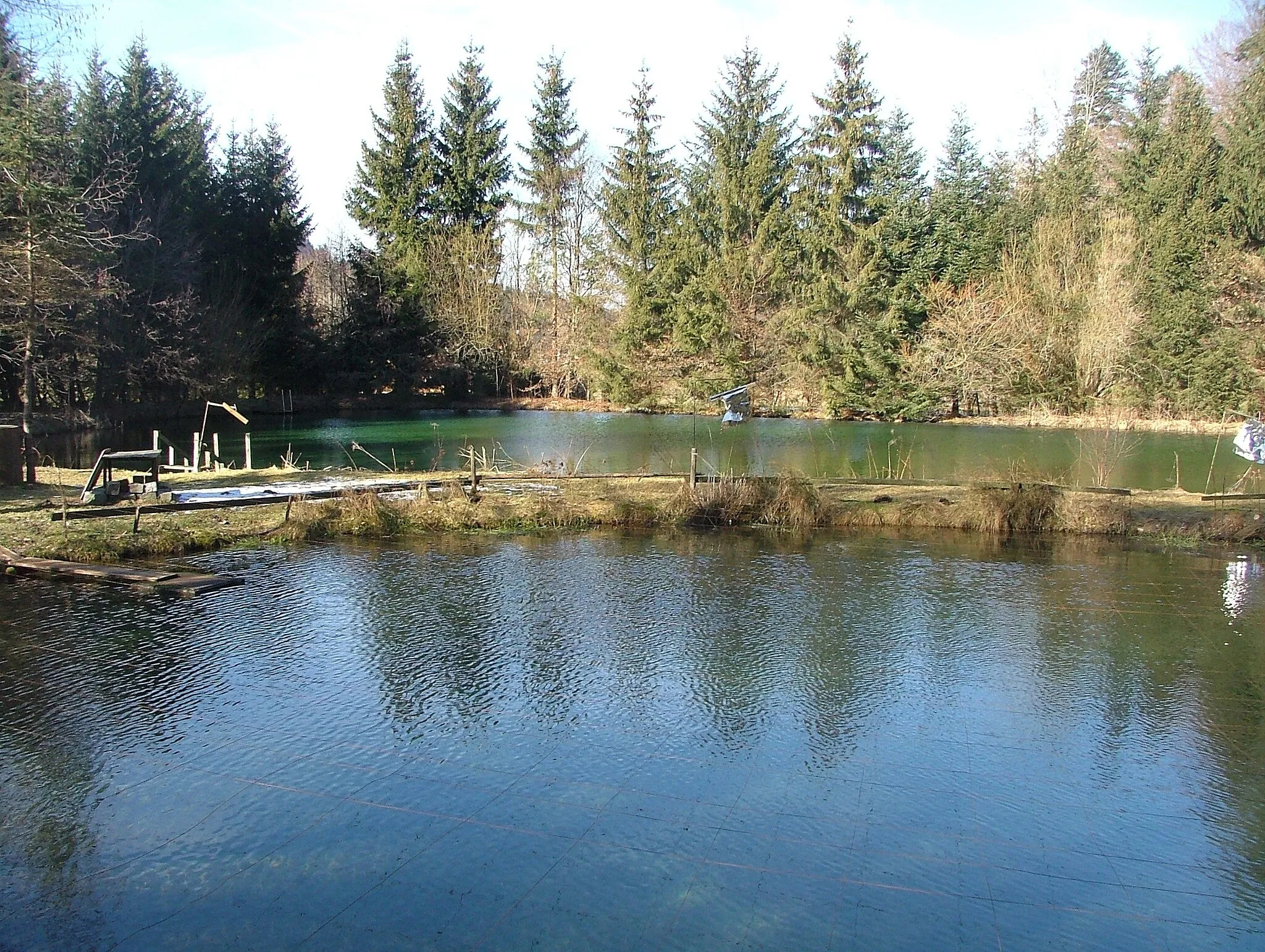 Photo showing: Fischweiher im Ehwiesmühltal