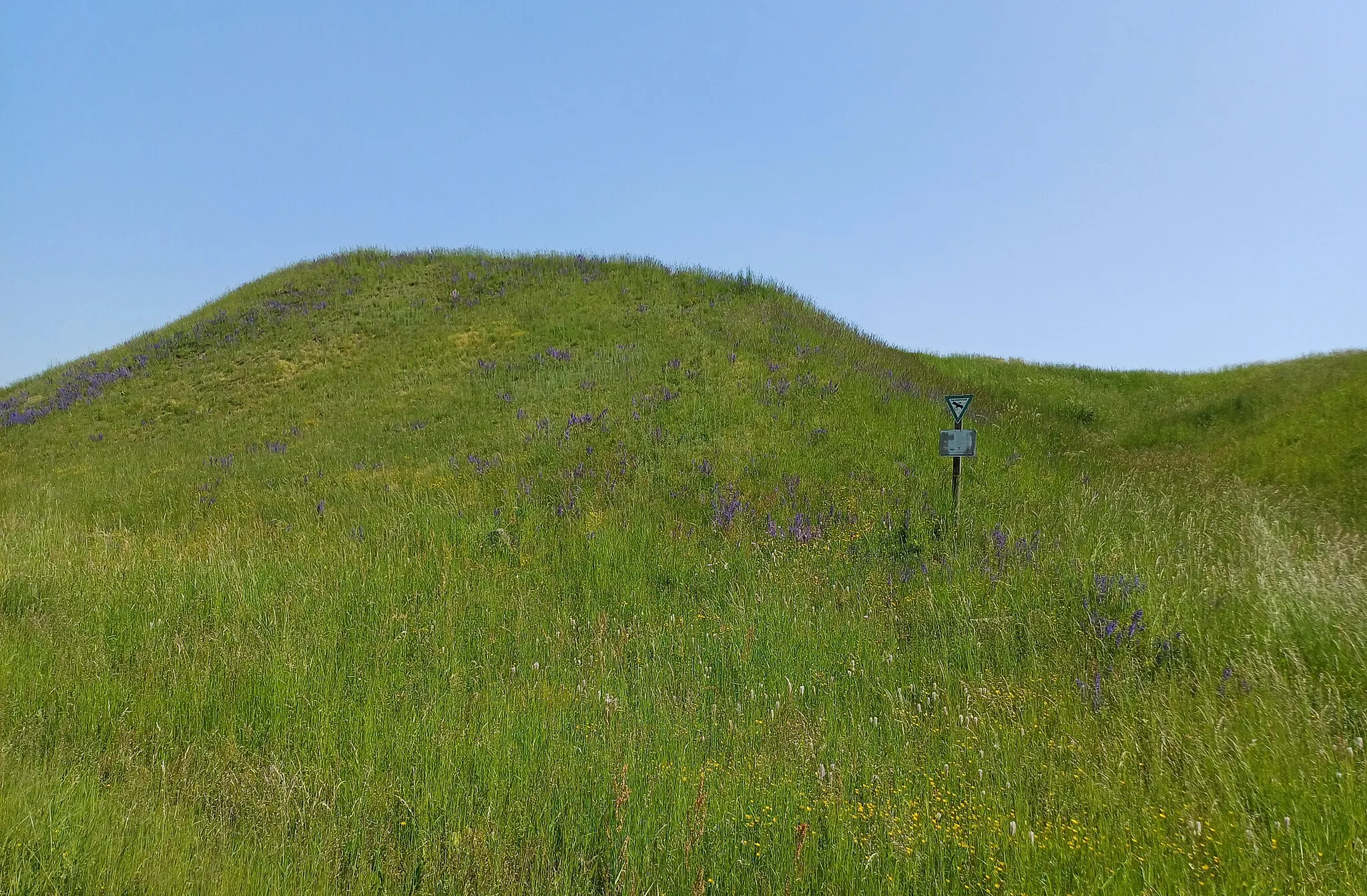 Photo showing: Schmutterhang Hühnerberg bei Hirblingen