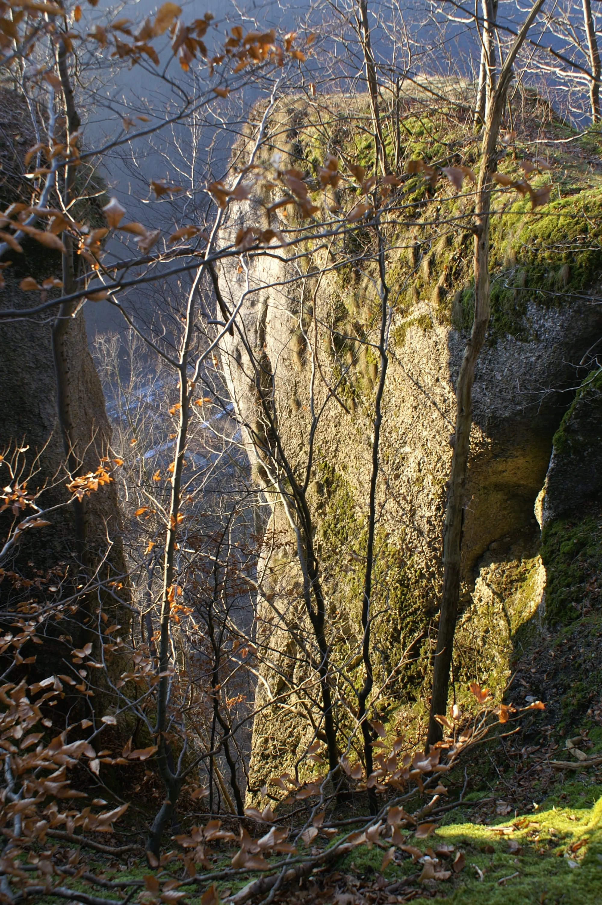 Photo showing: Auf der Felsformation Ravensteine stand die Burg Ravenstein über dem Roggental