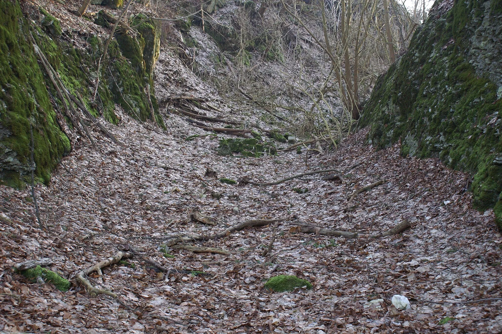 Photo showing: Der hufeisenförmige Halsgraben der Burg Ravenstein ist noch vorhanden