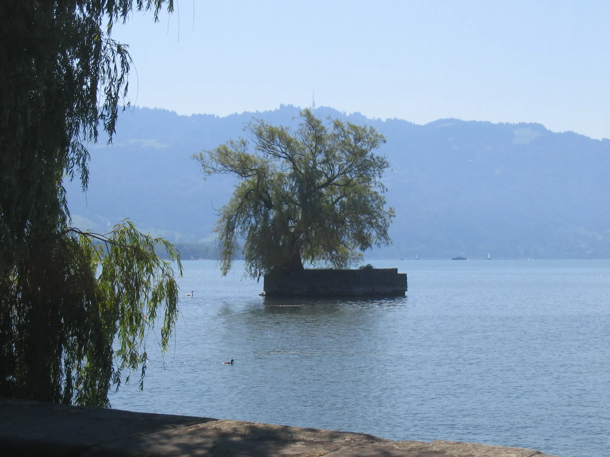 Photo showing: Island of Hoy (Lake of Constance) near Lindau