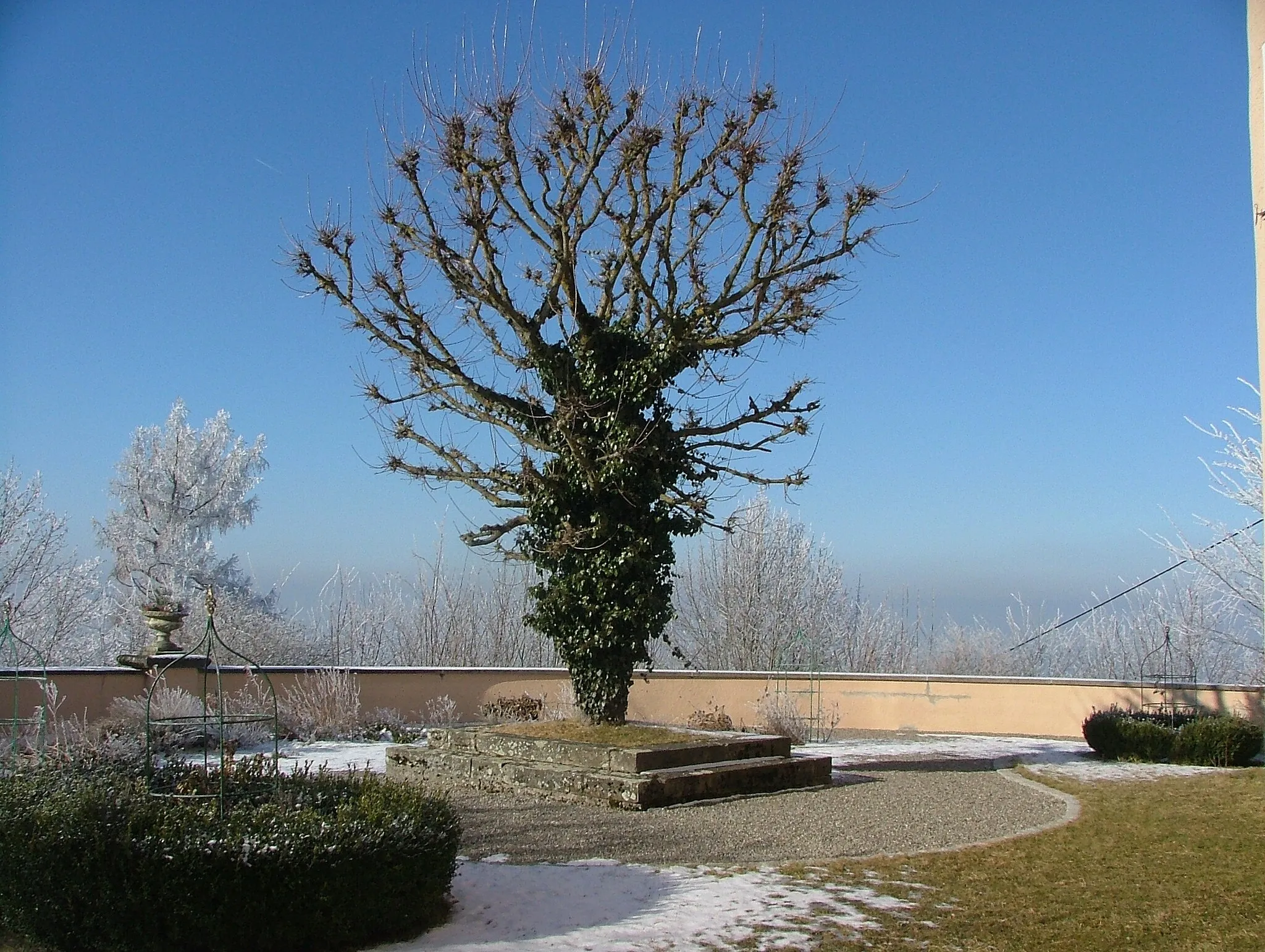 Photo showing: Schloss Kronburg Westterrasse