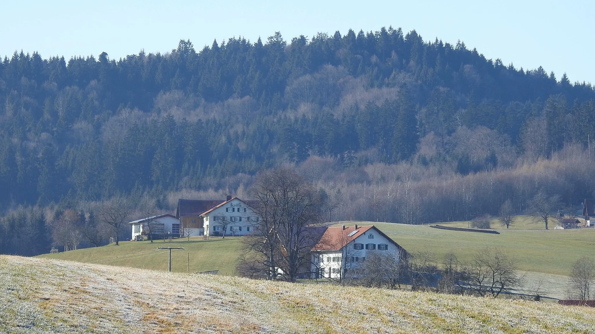 Photo showing: Buchen am Hohentanner Wald, Altusried