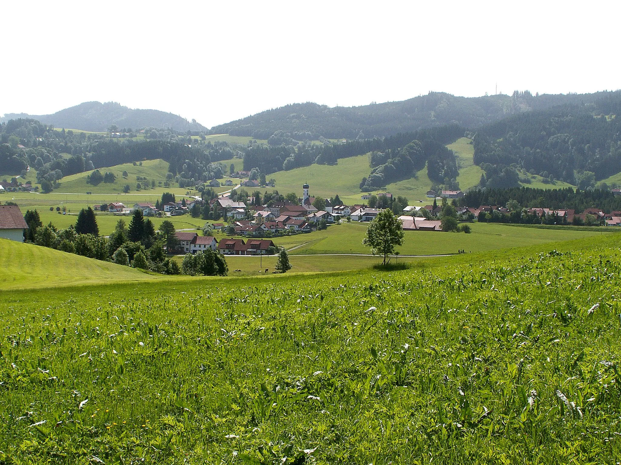 Photo showing: Maierhöfen von Westen