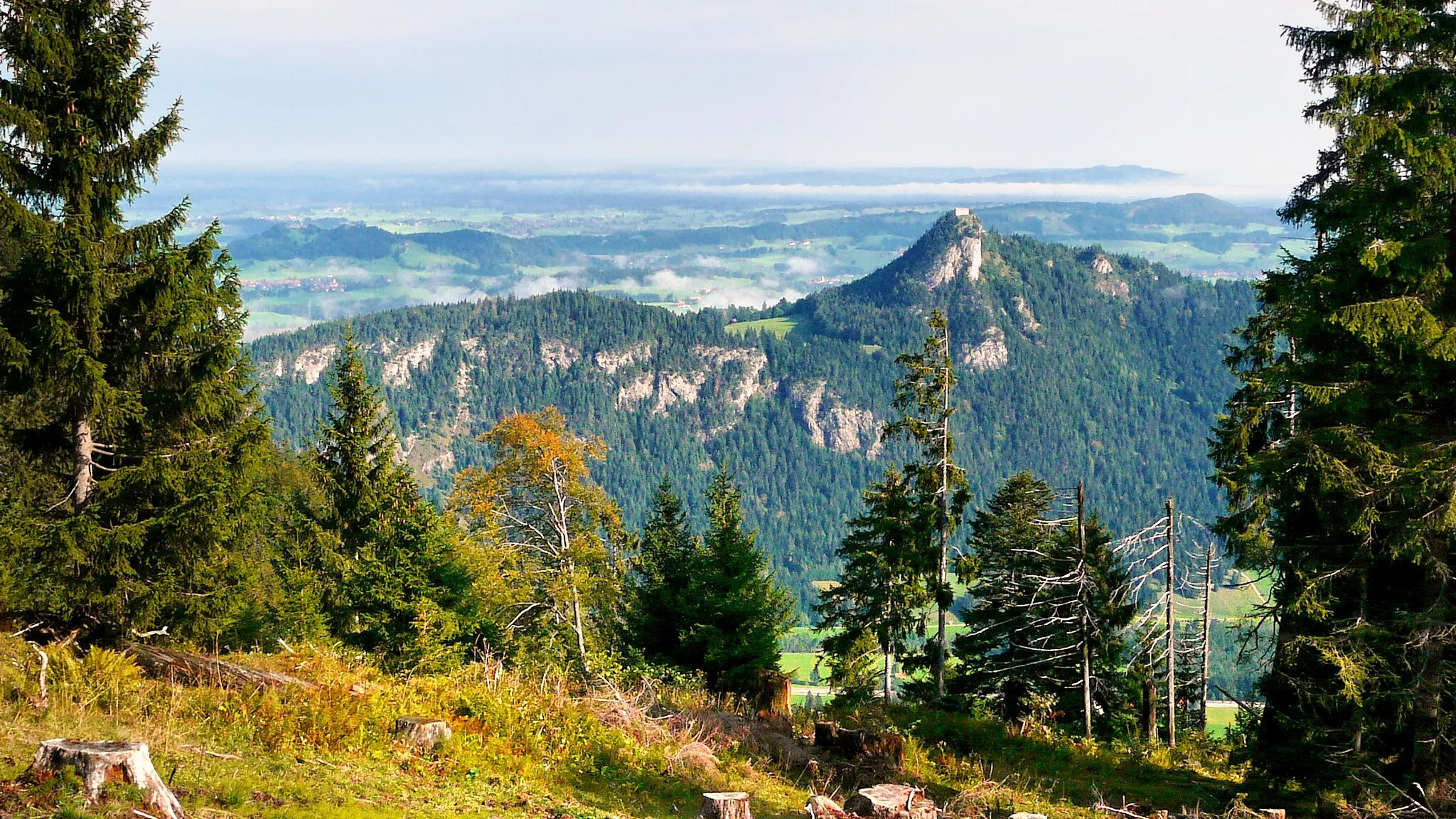 Photo showing: Blick vom Breitenberg zur Ruine Falkenstein, Pfronten