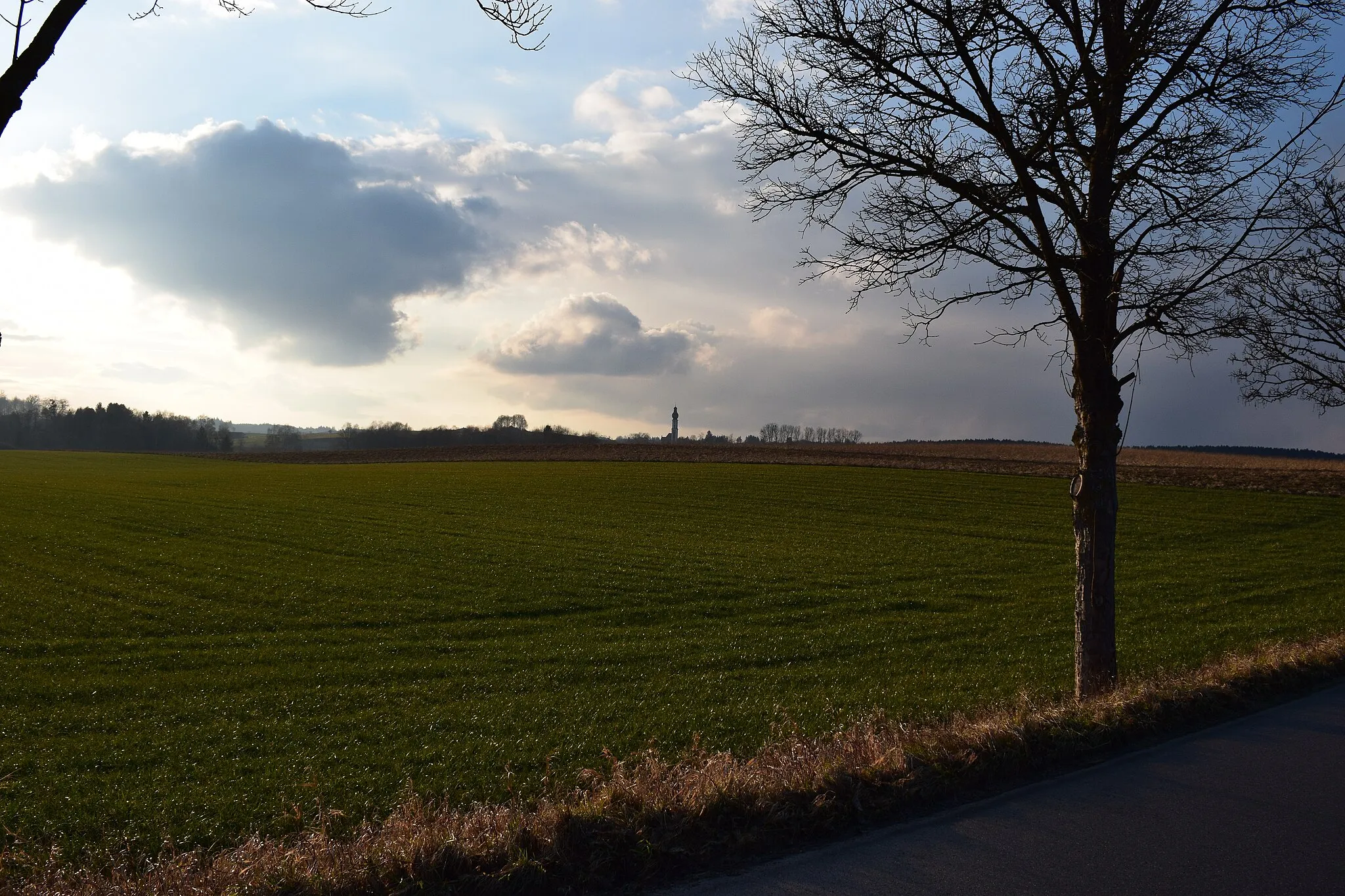 Photo showing: Ein Feld im Landschaftsschutzgebiet Ammersee-West. Dahinter befinden sich ein kleines Wäldchen und die Kirche St. Martin des Dorfes Hechenwang.