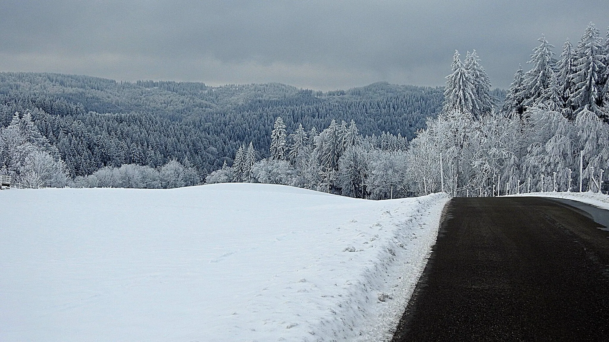 Photo showing: Blick auf den Kürnachwald von Schmidsreute (980 m) aus