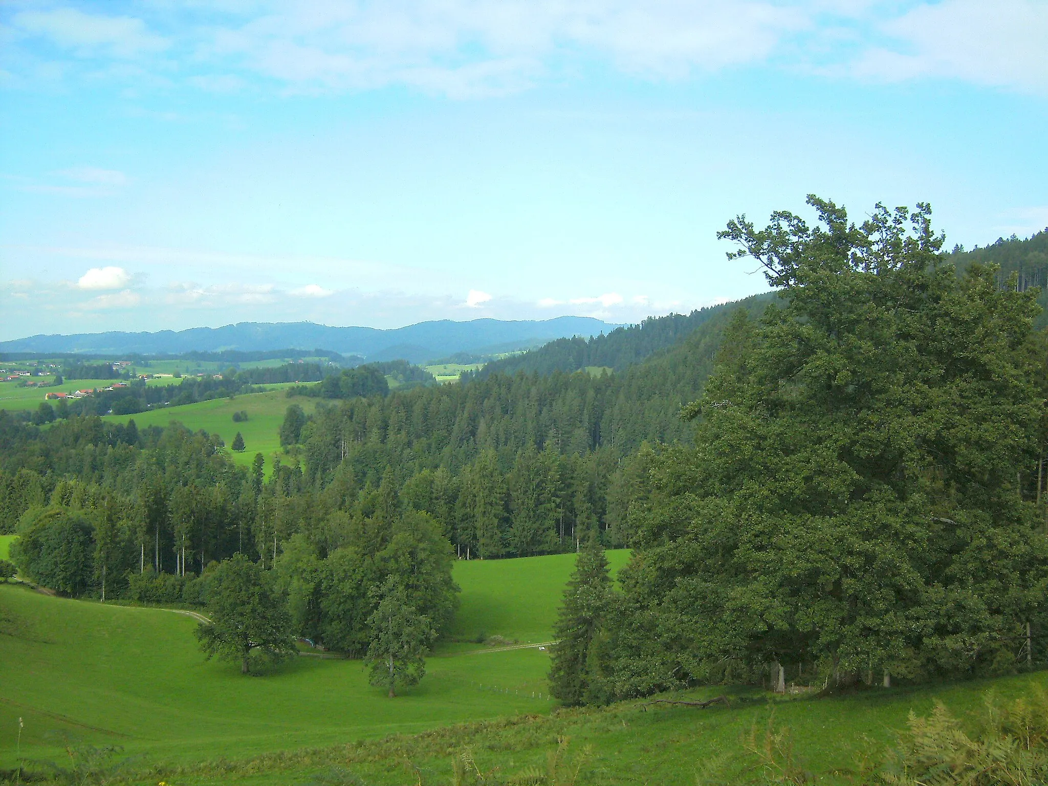 Photo showing: Adelegg, Nordausläufer der Allgäuer Alpen bei Isny im Allgäu vom Eistobel aus gesehen.