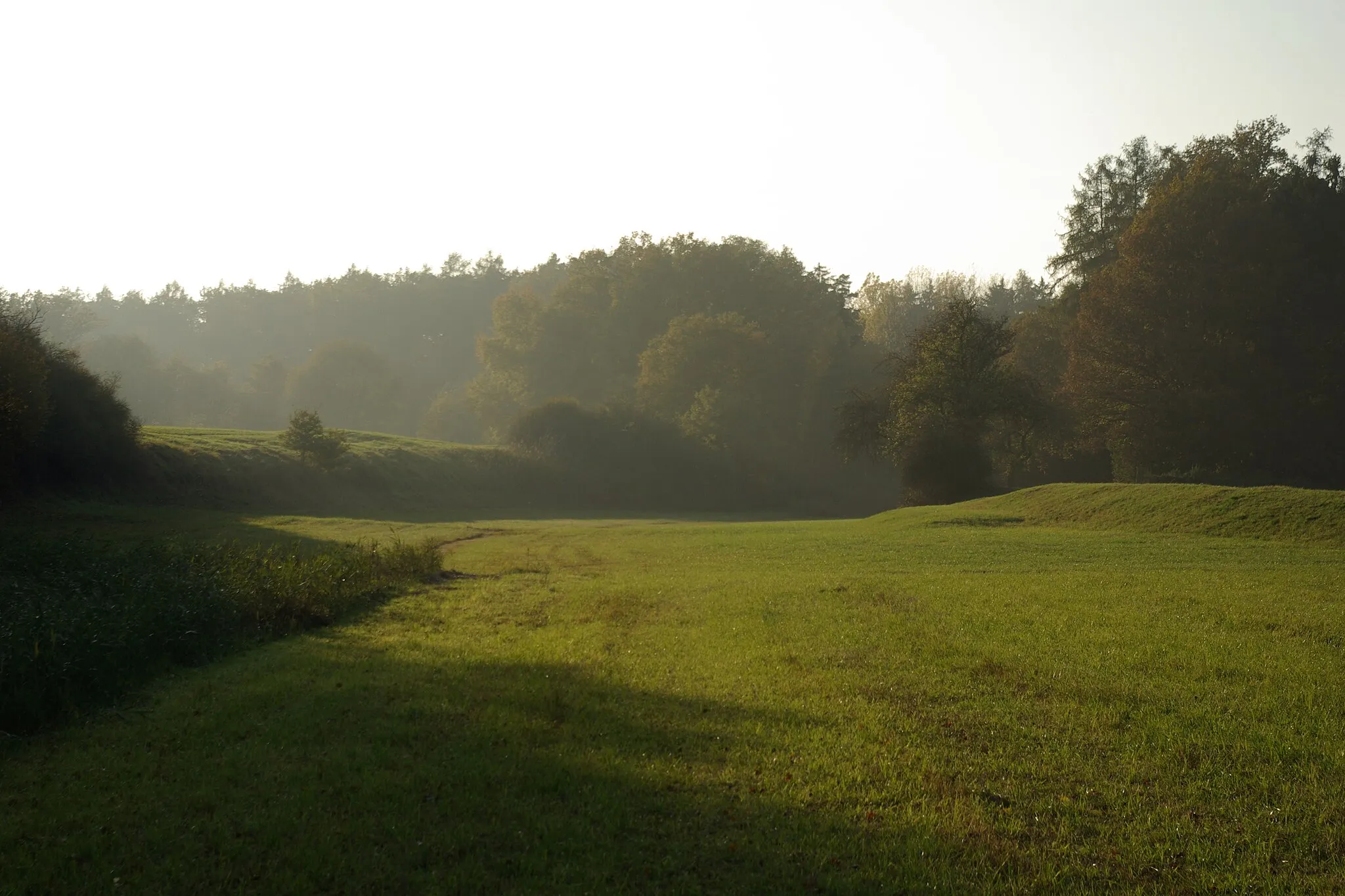 Photo showing: Fossa Carolina, nordöstlicher Abschnitt.