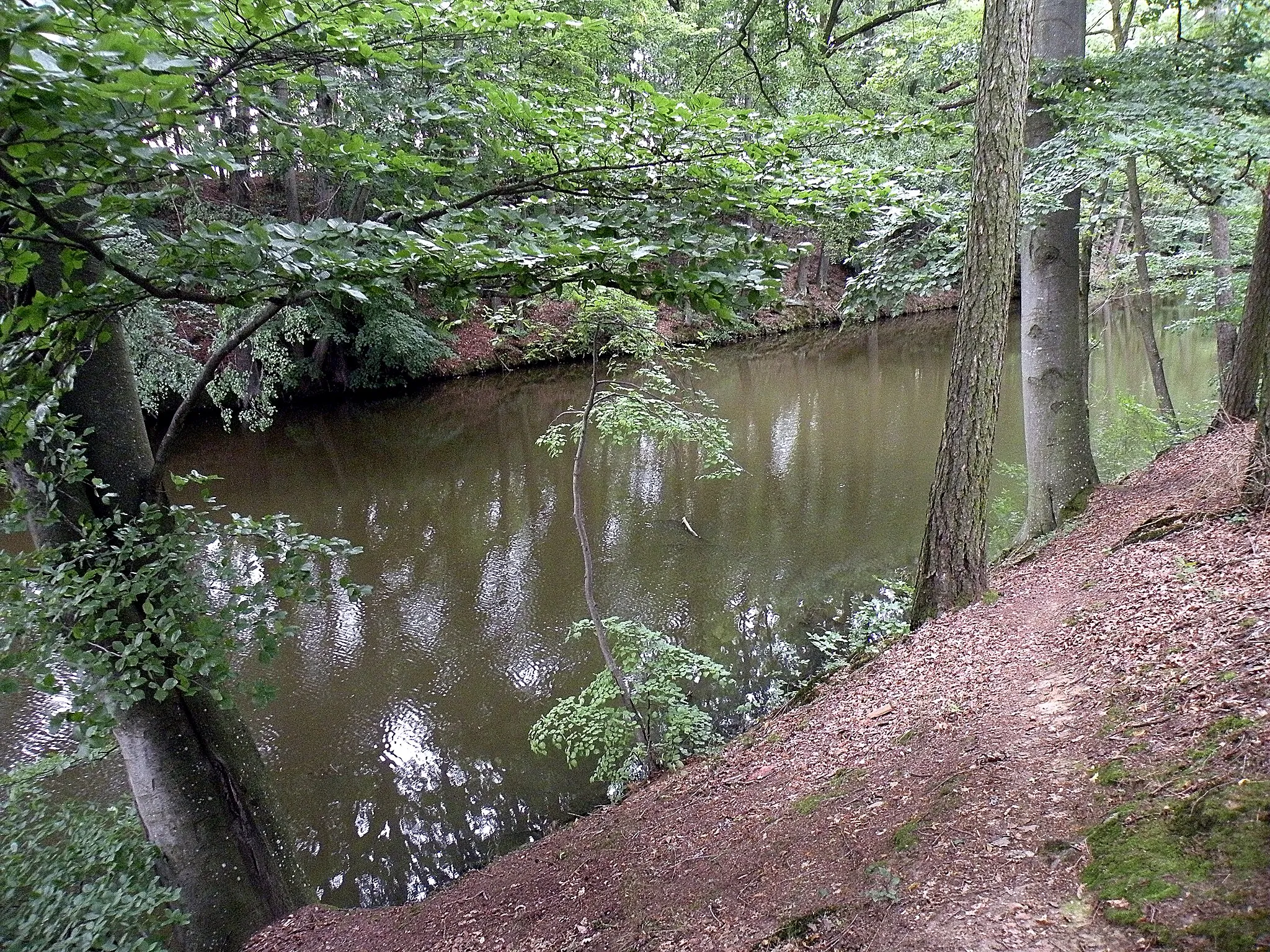 Photo showing: Fossa Carolina View down  from earthwork