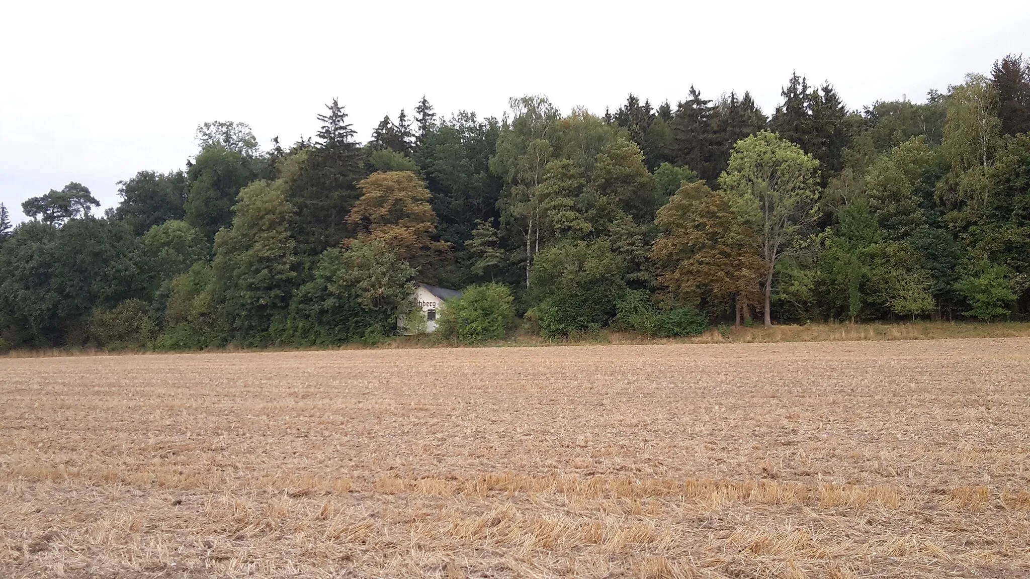 Photo showing: Buchberg (Nersingen) von Westen her gesehen