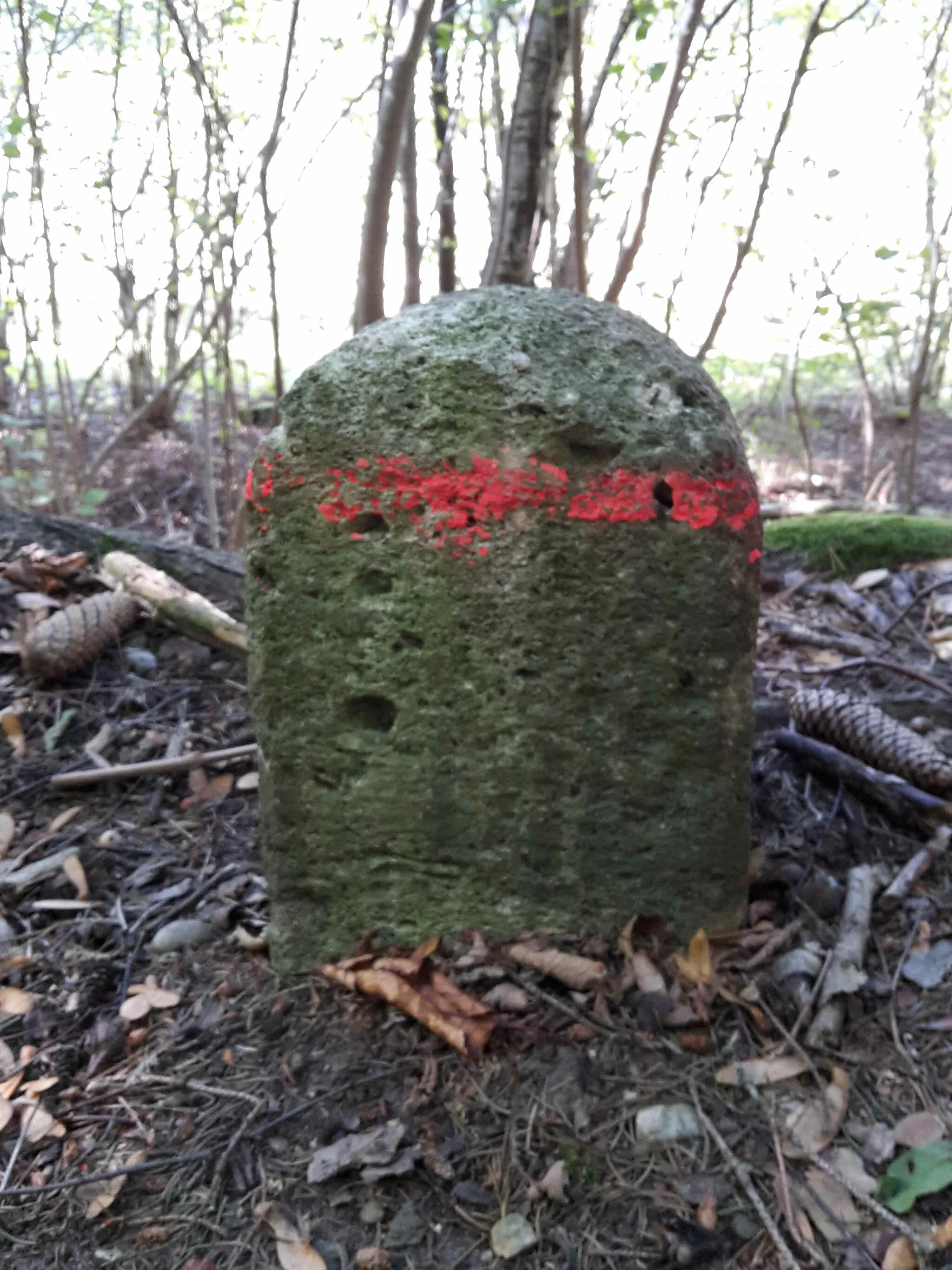 Photo showing: Grenzstein zwischen Steinheim und Nersingen beim Buchbergkeller