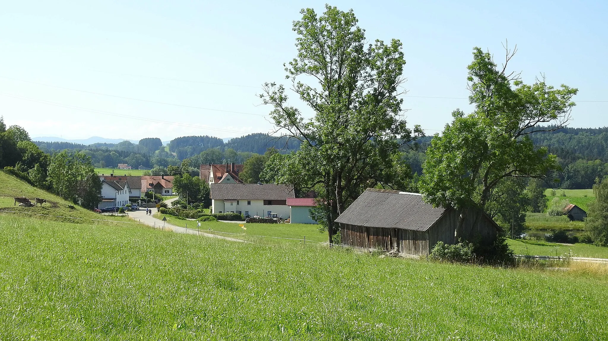 Photo showing: Unterbinnwang von Norden, Kronburg