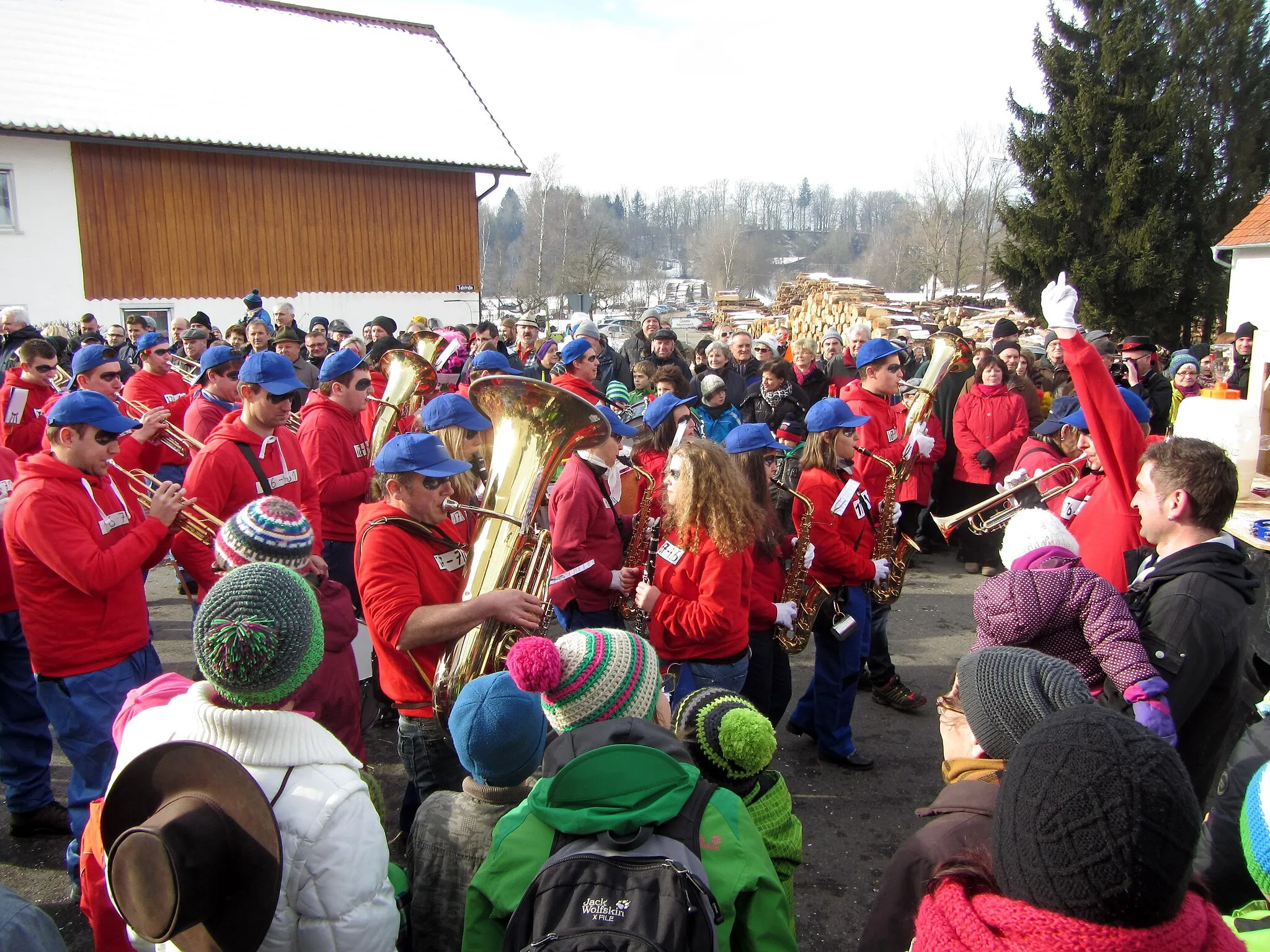 Photo showing: Fasnetsumzug Zell an der Rot 2015