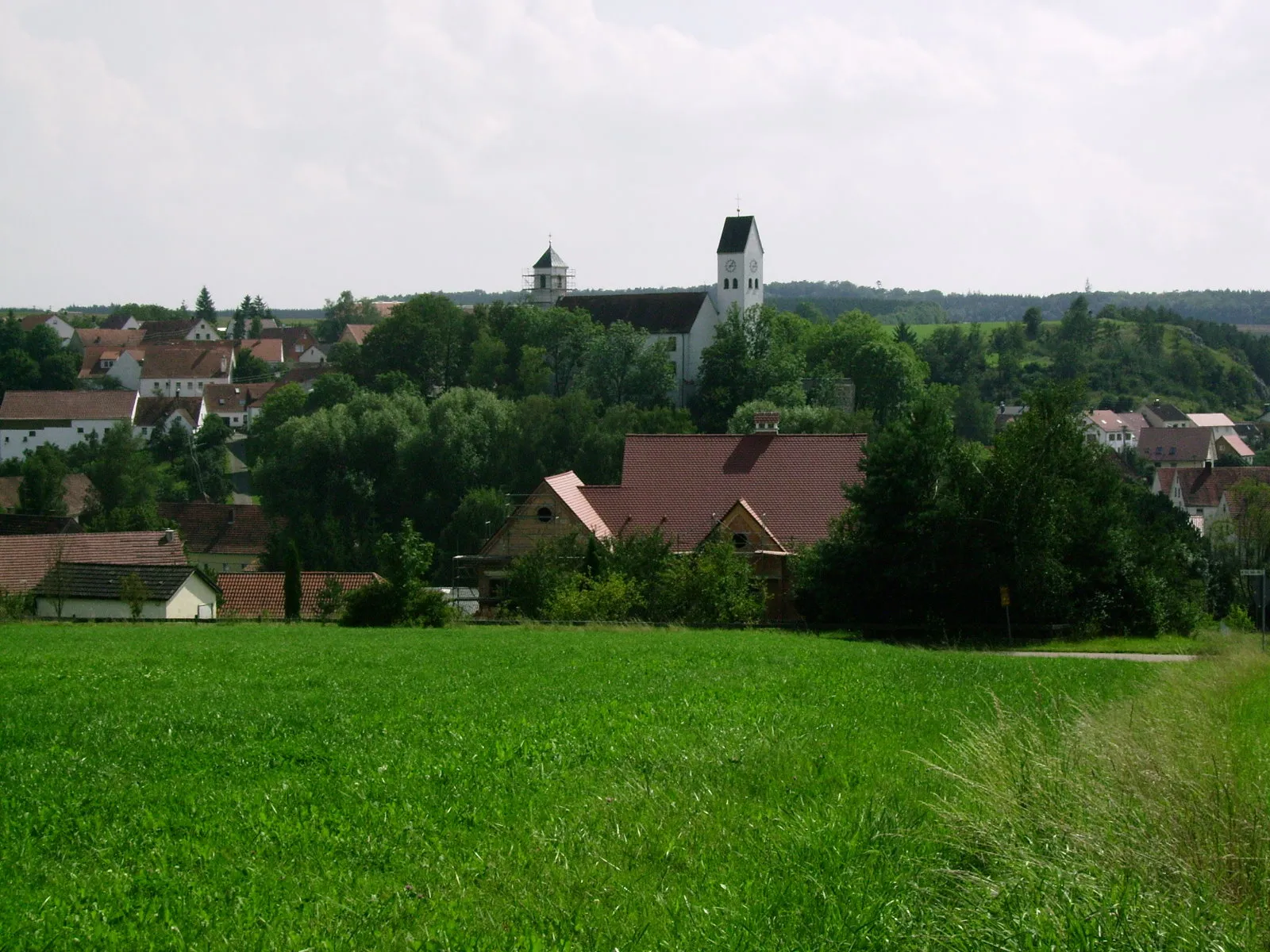 Photo showing: The village Dietmantstein in the valley of Kessel