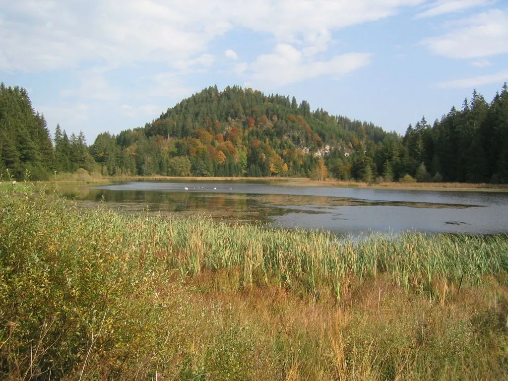 Photo showing: Der Schlossweiher bei Schweinegg (Gemeinde Eisenberg (Ostallgäu)