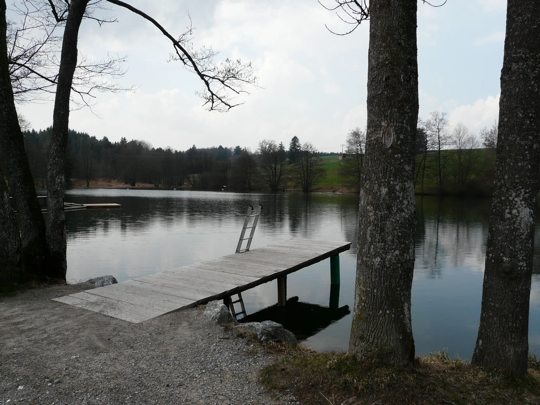 Photo showing: Oggenrieder Weiher in Irsee