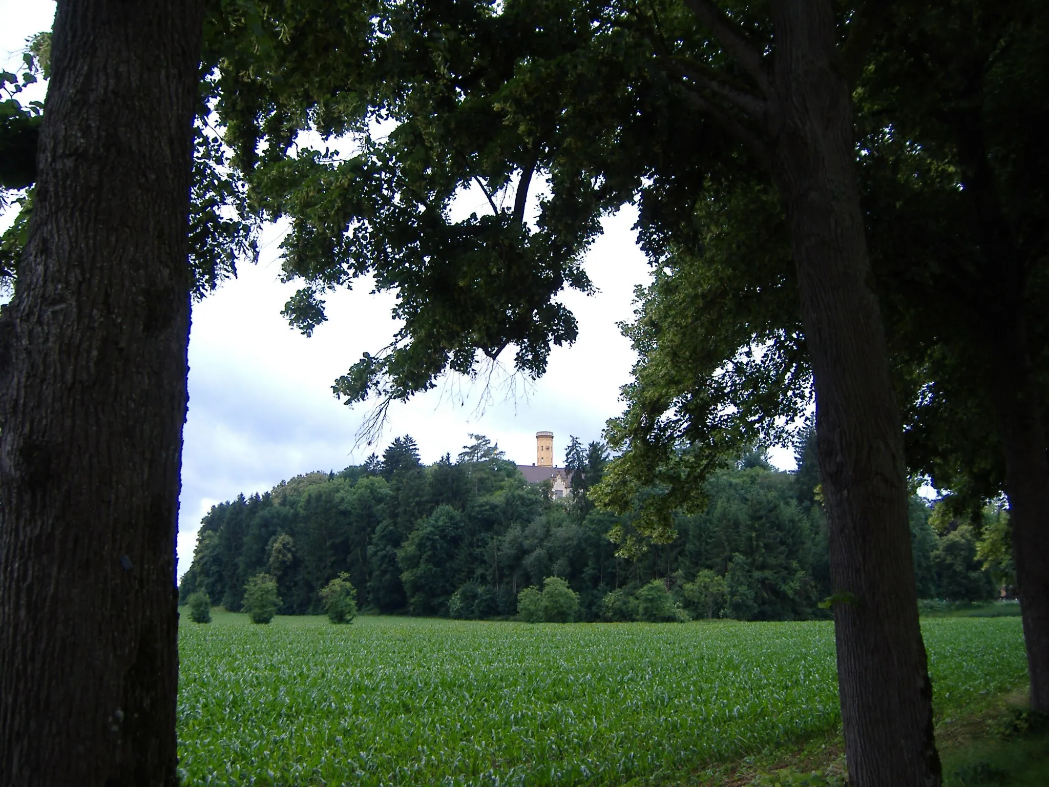 Photo showing: Lindenallee bei  Schloss Wellenburg