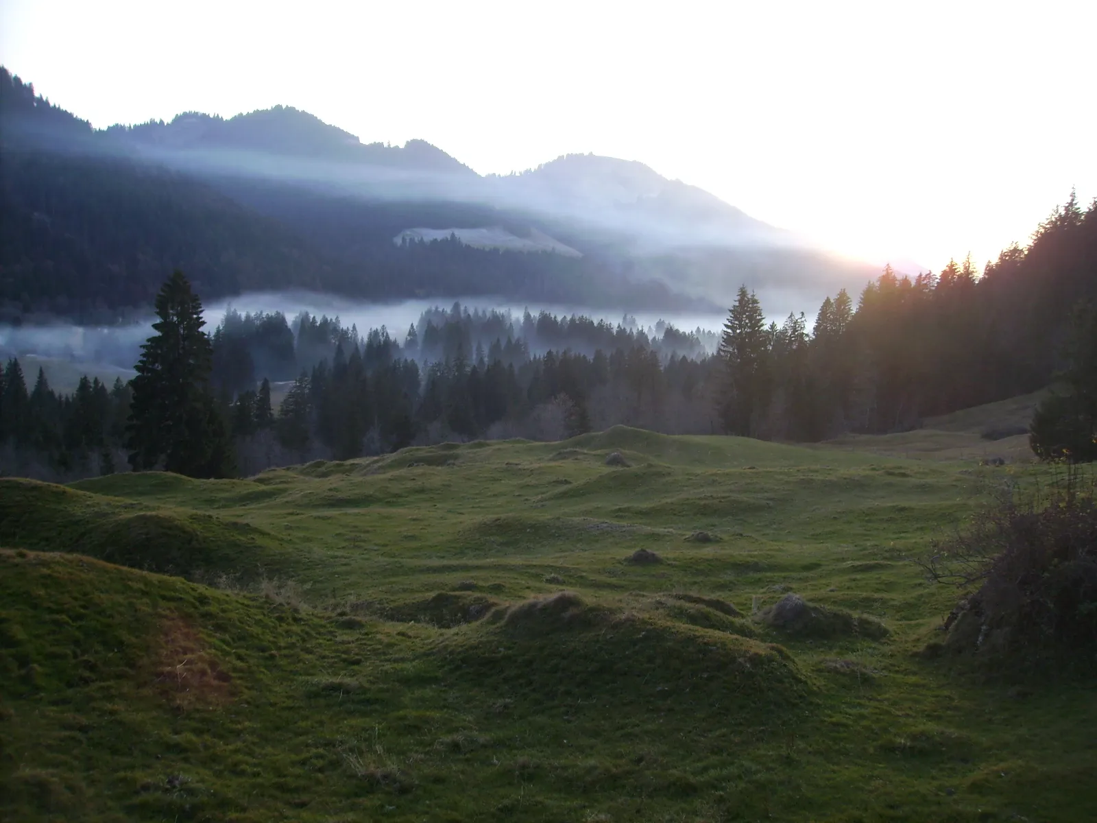 Photo showing: Balderschwang, Blick ins Tal