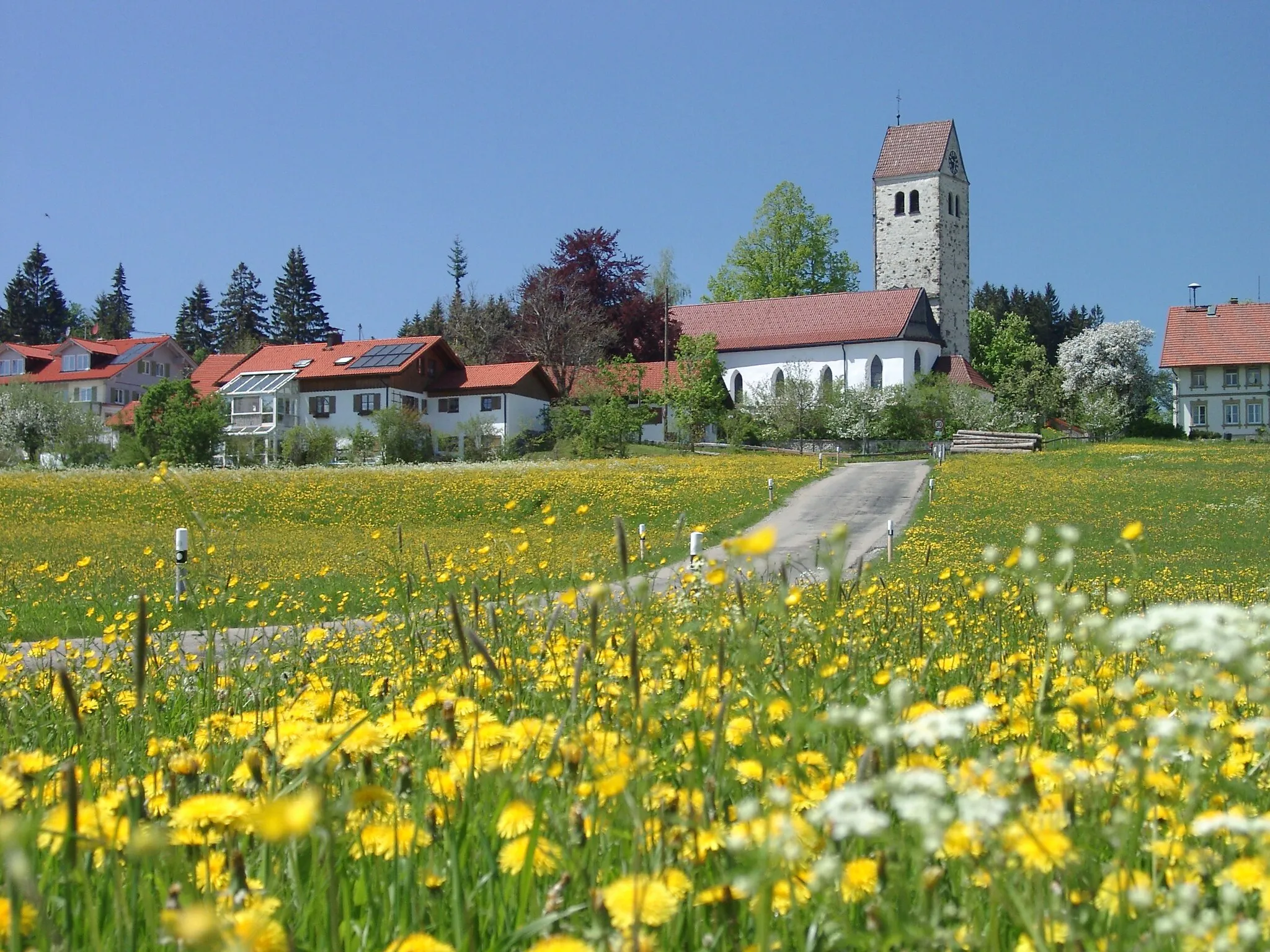 Photo showing: Rechtis im Allgäu mit Kirche St. Ulrich zur Löwenzahnblüte im Frühjahr (Der Name St. Georg und Florian ist falsch. Siehe [1] [2] [3] [4] [5] auf Grund eines Hinweises im OTRS.
Entstehung: um 1700
Baustil: Gotik/Frühbarock
Freskant: Linus Seif (1774)
Besonderheiten: gotische Holzfiguren der Heiligen Laurentius, Paulus, Helena, Ulrich. Gotische „Heilige Anna Selbdritt“ und Taufstein.