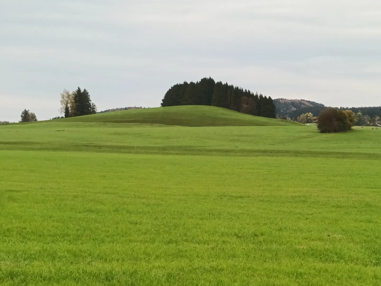 Photo showing: Der Pertlesbichel (825 m) östlich von Hopferau