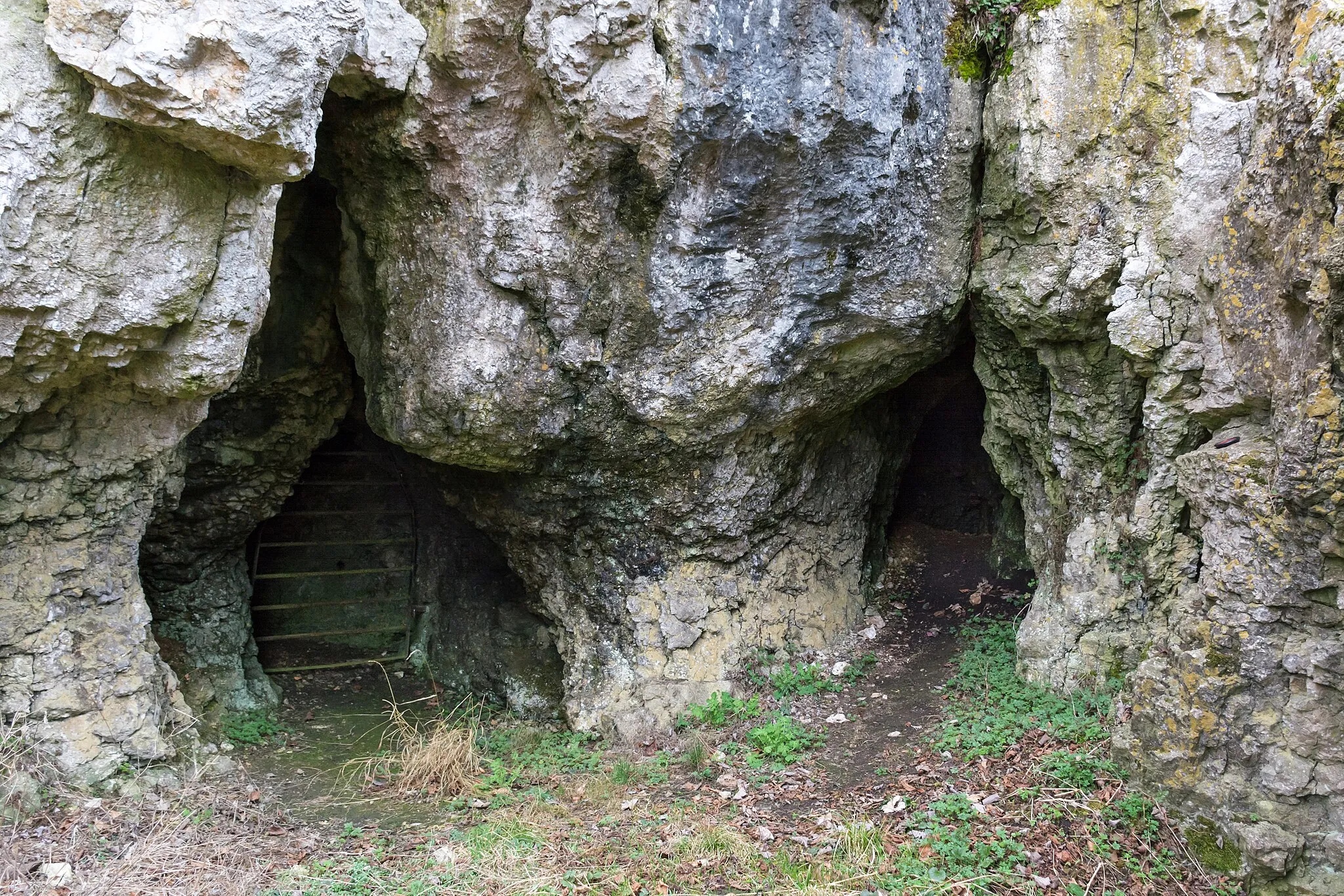Photo showing: Die Haldensteinhöhle am Ortsrand von Lonsee-Urspring.