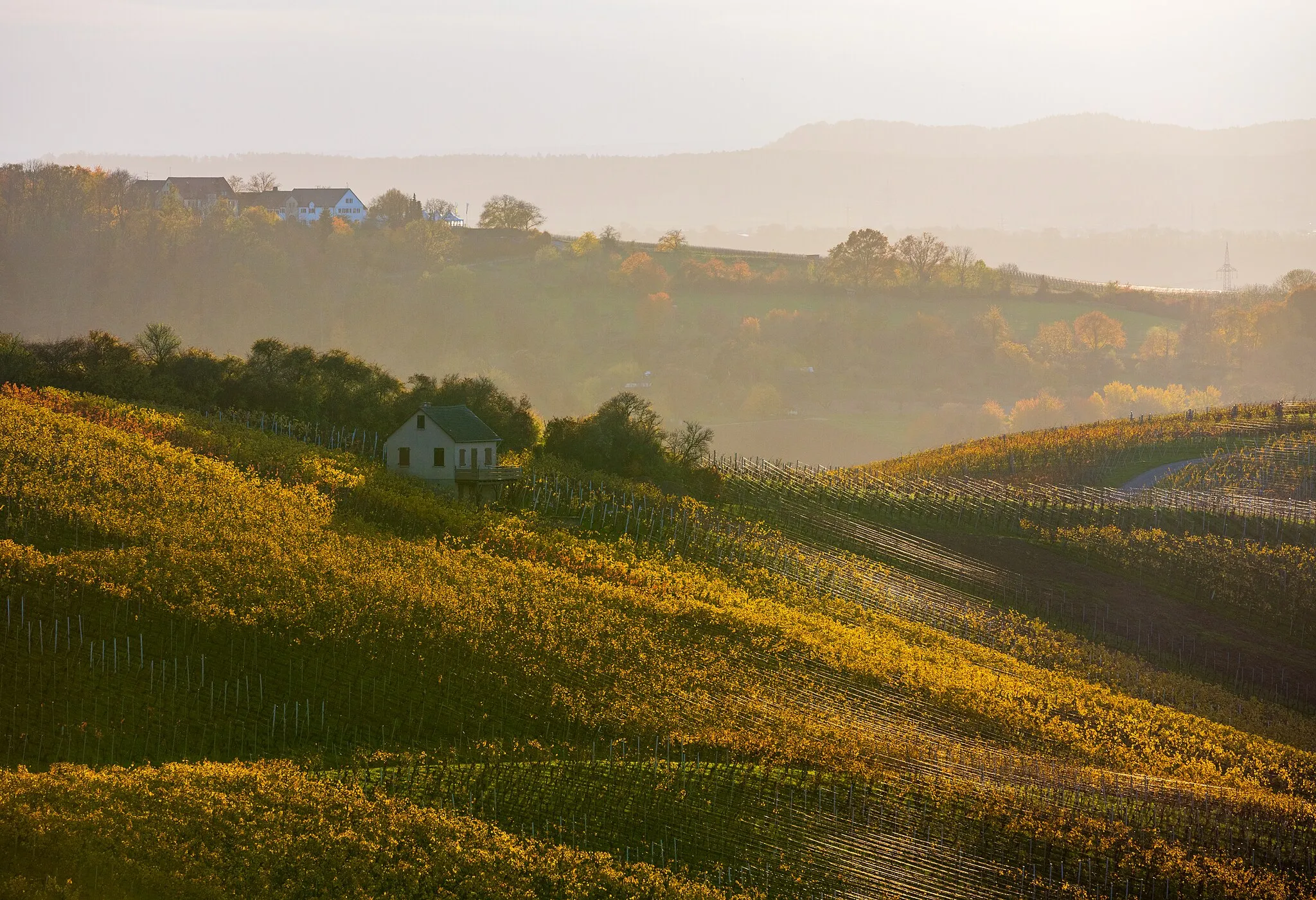 Photo showing: Heilbronn: Blick vom Hermann-Schneider-Weg bei der Ludwigsschanze II am Westende des Schweinsberges nach Südwesten auf die zu Sontheim gehörenden Weinberge zwischen Staufenberg und Hagelsberg. Aufnahme im Gegenlicht an einem November-Nachmittag.