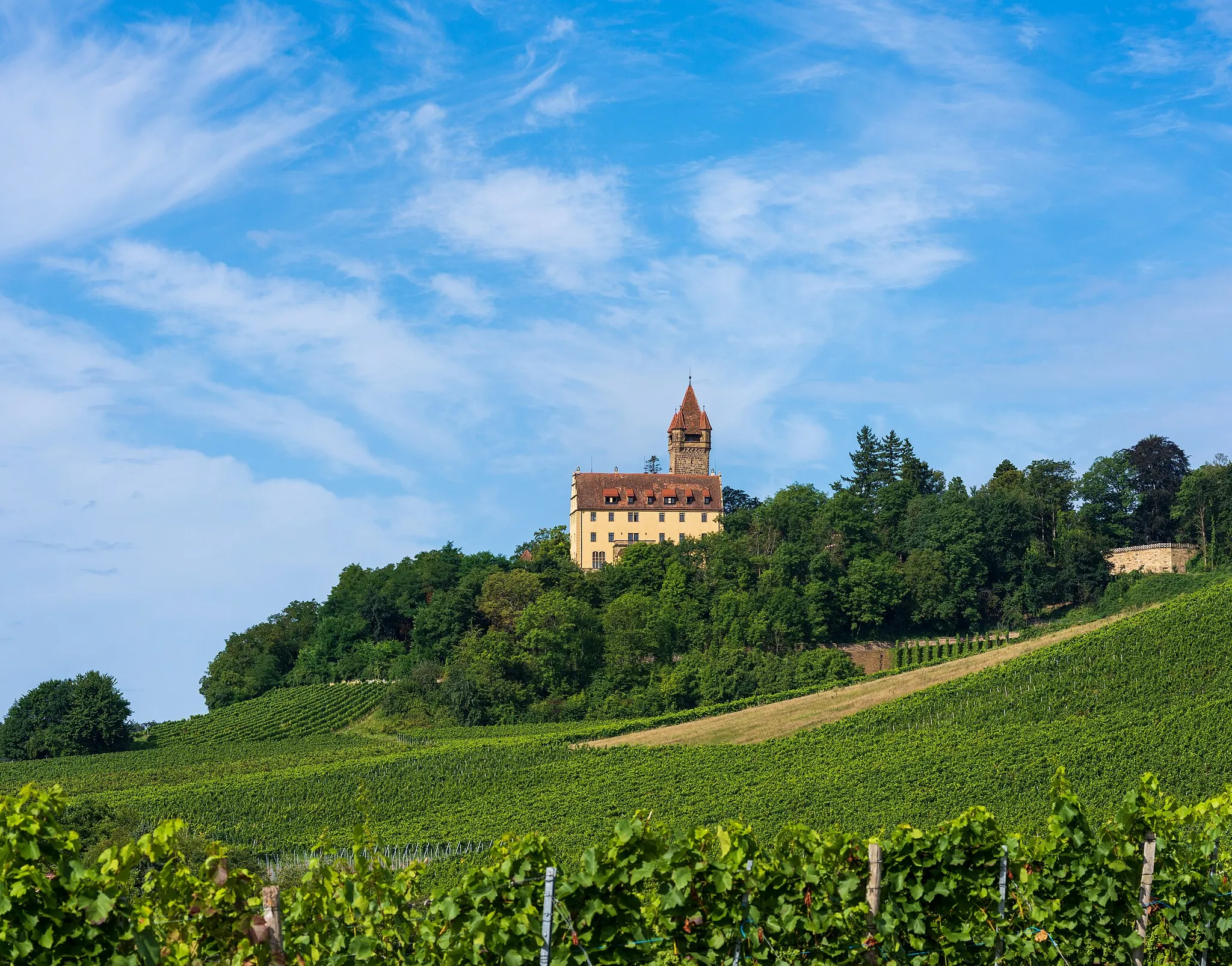 Photo showing: Brackenheim, Germany, district Stockheim: Stocksberg castle with its famous vineyards in the Summer. View from east-southeast from the K 2064 road. Hint: The tower of the castle is leaning in reality, this is not the fault of the photo ;–).