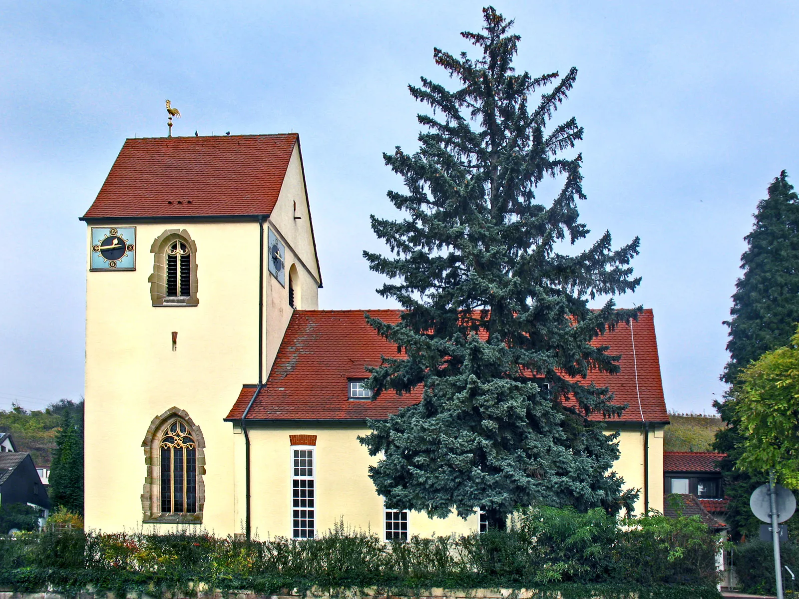 Photo showing: Remshalden-Hebsack, Deutschland, Kreuzkirche. Im Vordergrund eine Stechfichte, meist Blaufichte genannt (Picea pungens'Glauca').