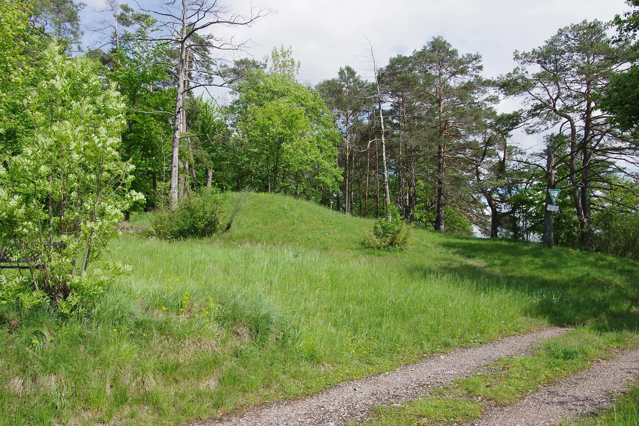 Photo showing: Nature reserve Roter Burren (= Red Hill) near Plüderhausen, Baden-Württemberg, Germany