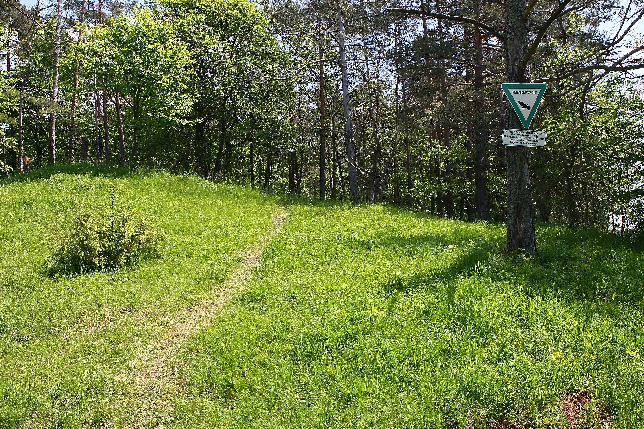 Photo showing: Nature reserve Roter Burren (= Red Hill) near Plüderhausen, Baden-Württemberg, Germany