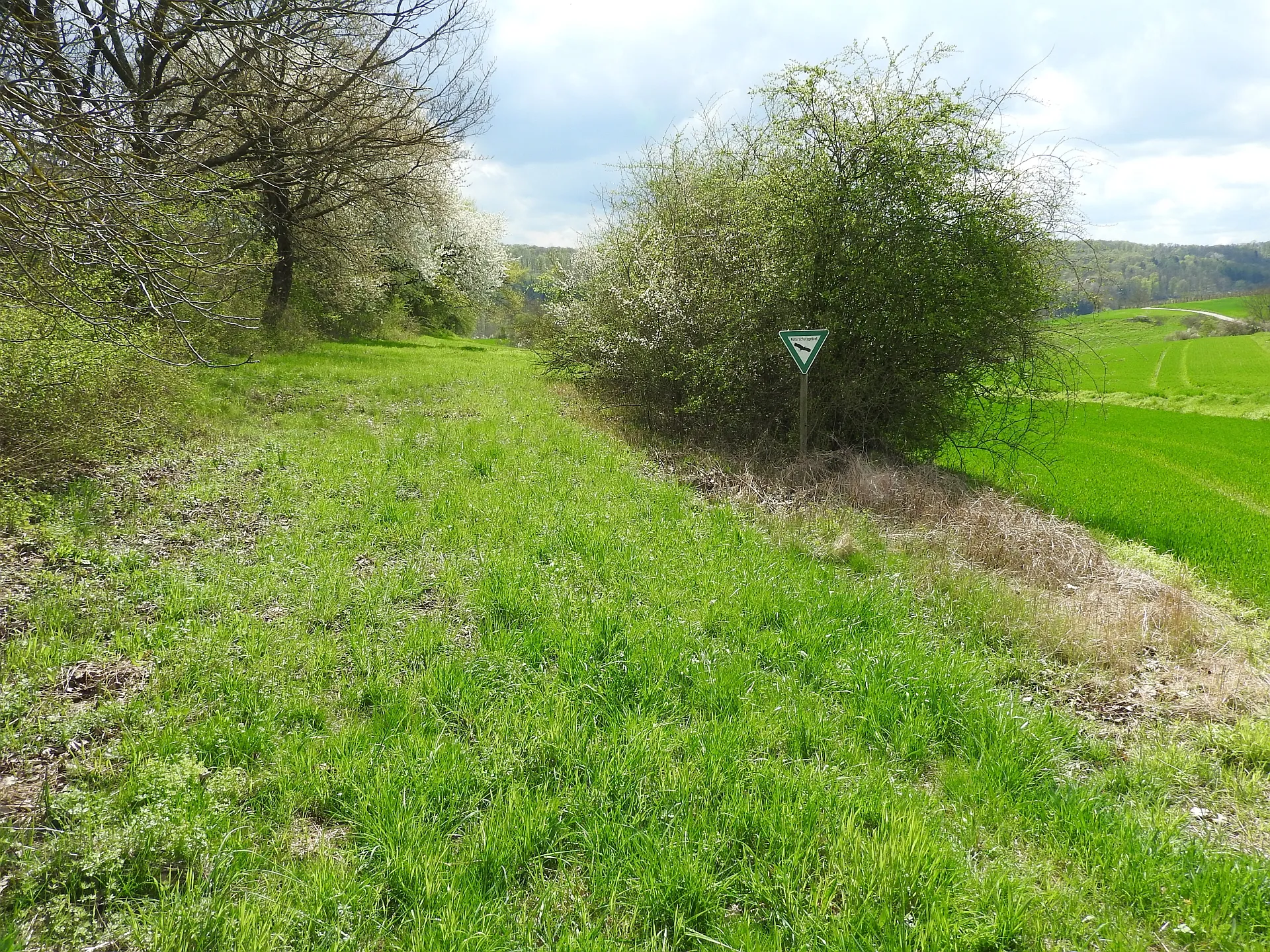 Photo showing: Naturschutzgebiet Beim Roten Kreuz, 12.04.2016