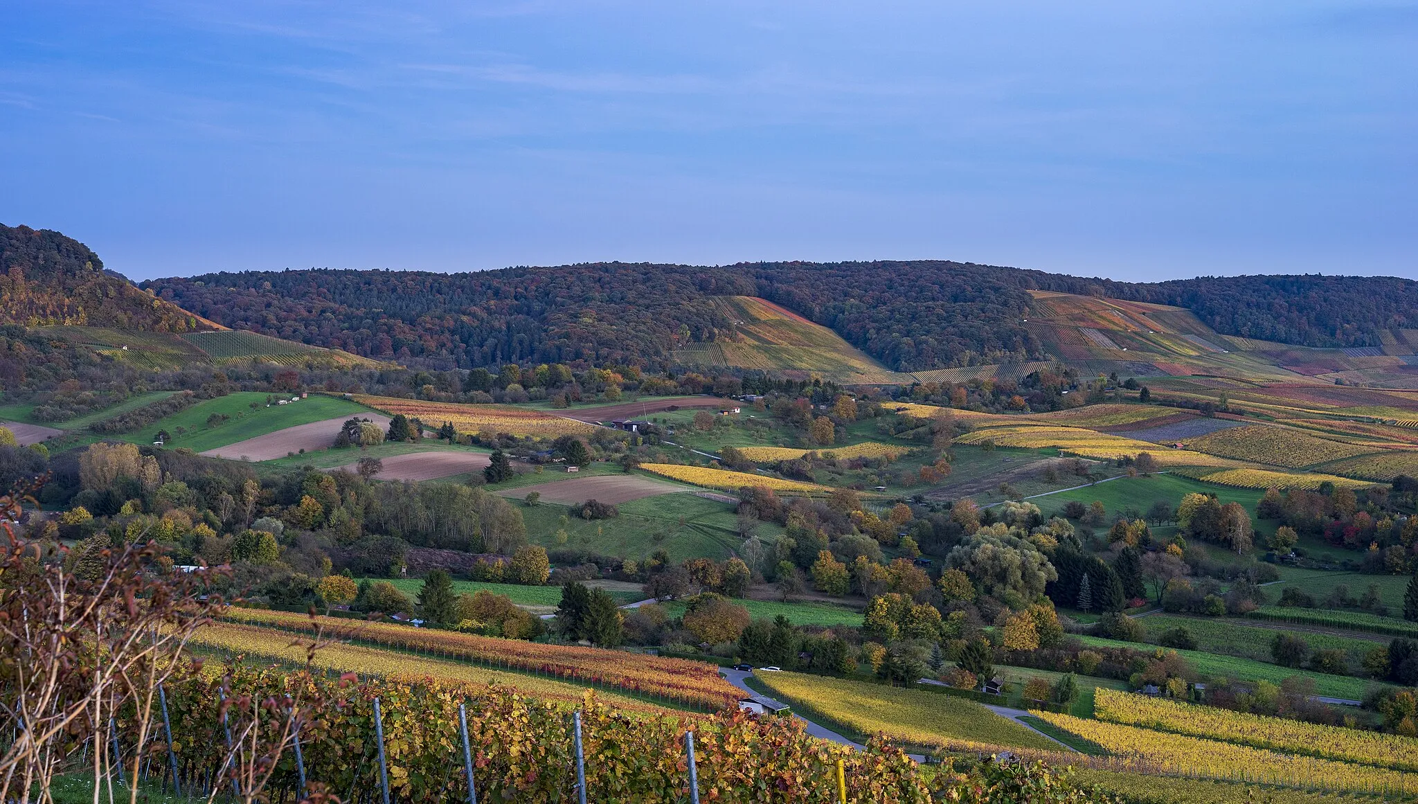 Photo showing: Erlenbach (Landkreis Heilbronn): Sommerberg und Kayberg im Herbst, gesehen vom Hilperthäusle am Südhang des Scheuerbergs bei Neckarsulm. Die Weinberge und Gärten an den Hängen gehören großteils (bis auf diejenigen im Vordergrund) zu Erlenbach. Die Aufnahme wurde kurz nach Sonnenuntergang gemacht, die goldene Stunde geht gerade in die blaue Stunde über. Die Farben der Weinberge waren noch leuchtend (vom Widerschein am Himmel rechts hinter der Kamera), aber schon etwas ‚verblaut‘. Ich habe bei der Bearbeitung versucht, diesen besonderen Eindruck zu erhalten.