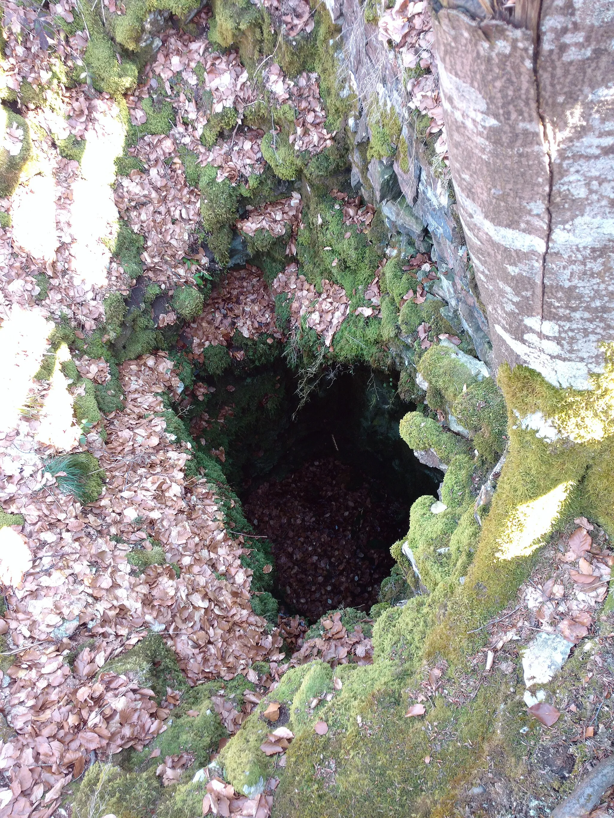 Photo showing: Das Kleine Wollenloch ist ein ca. 9 m tiefer Naturschacht in der Oberen Felsenkalk-Formation.